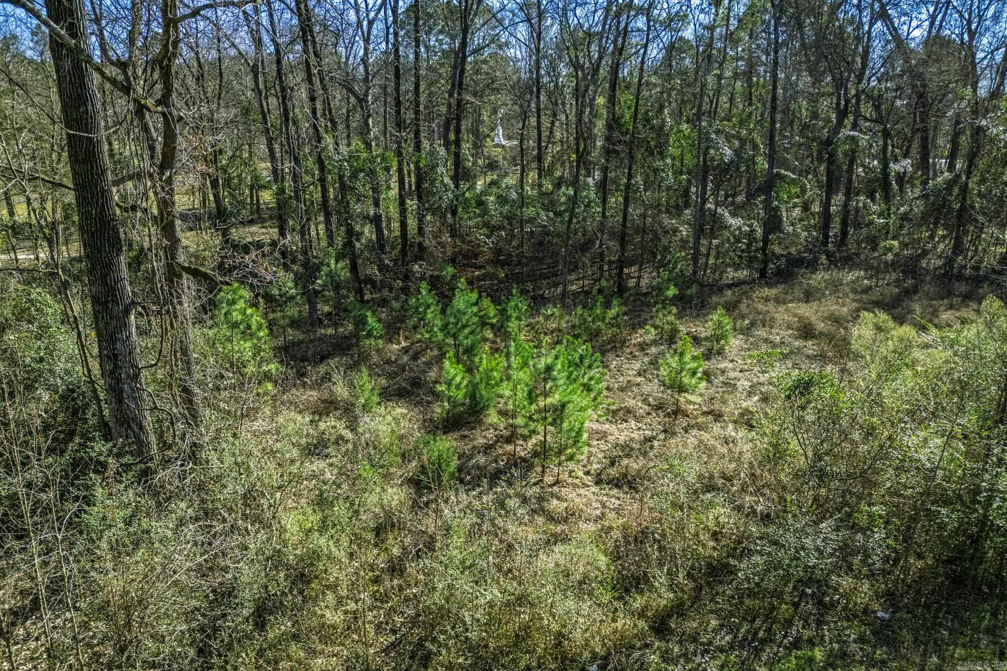 TBD North Park  Arkadelphia, AR