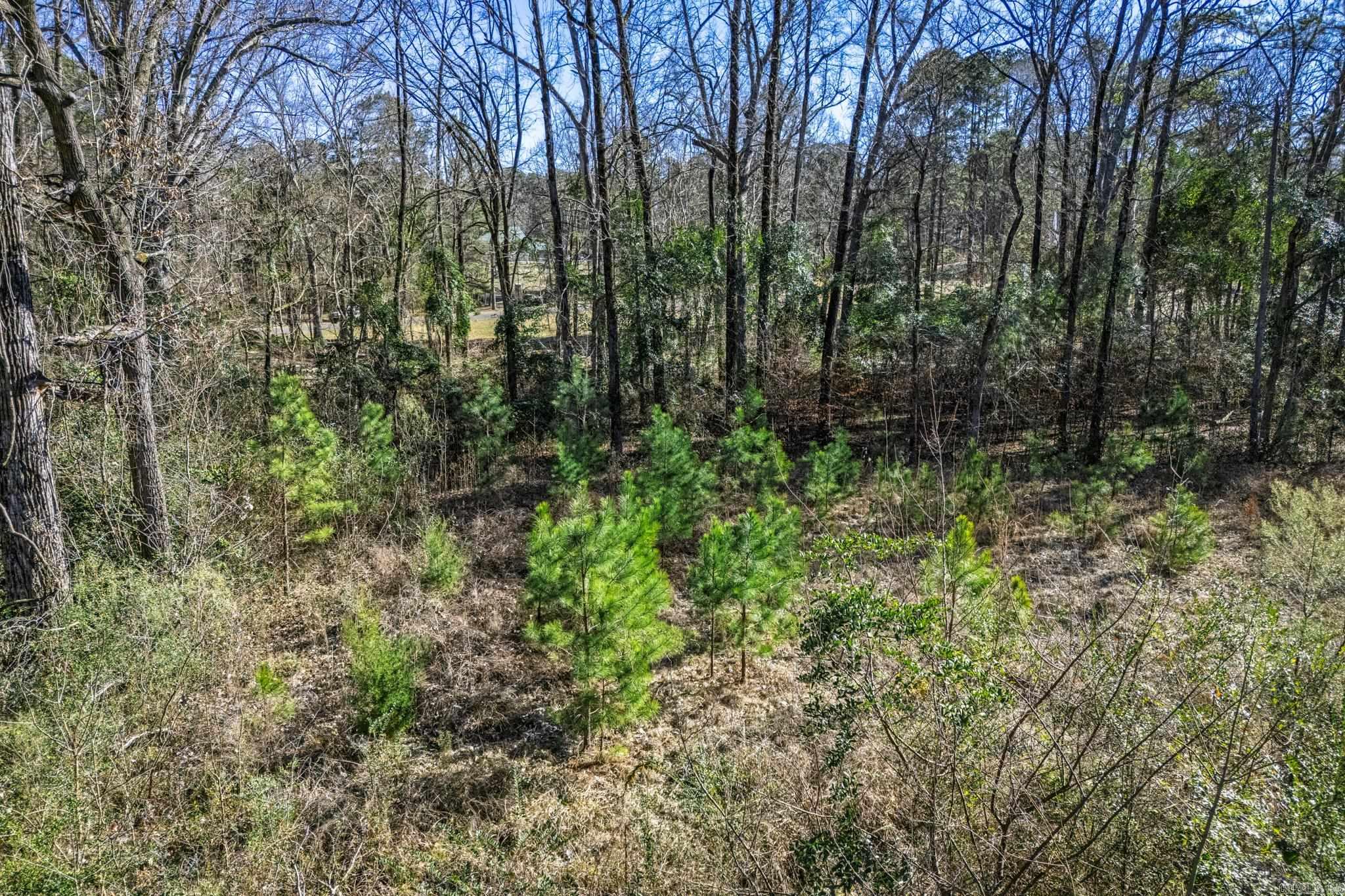 TBD North Park  Arkadelphia, AR