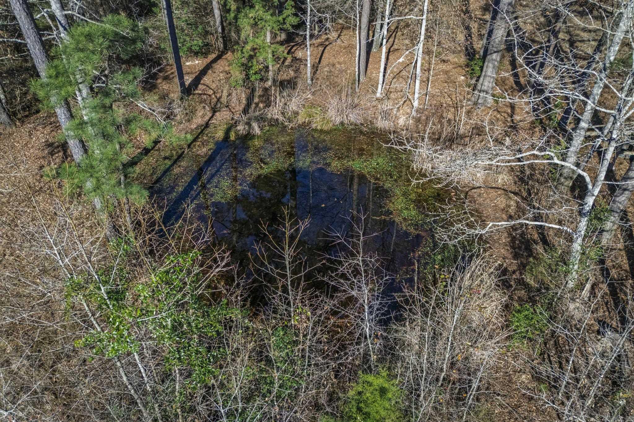 266 Hempstead 38  Prescott, AR