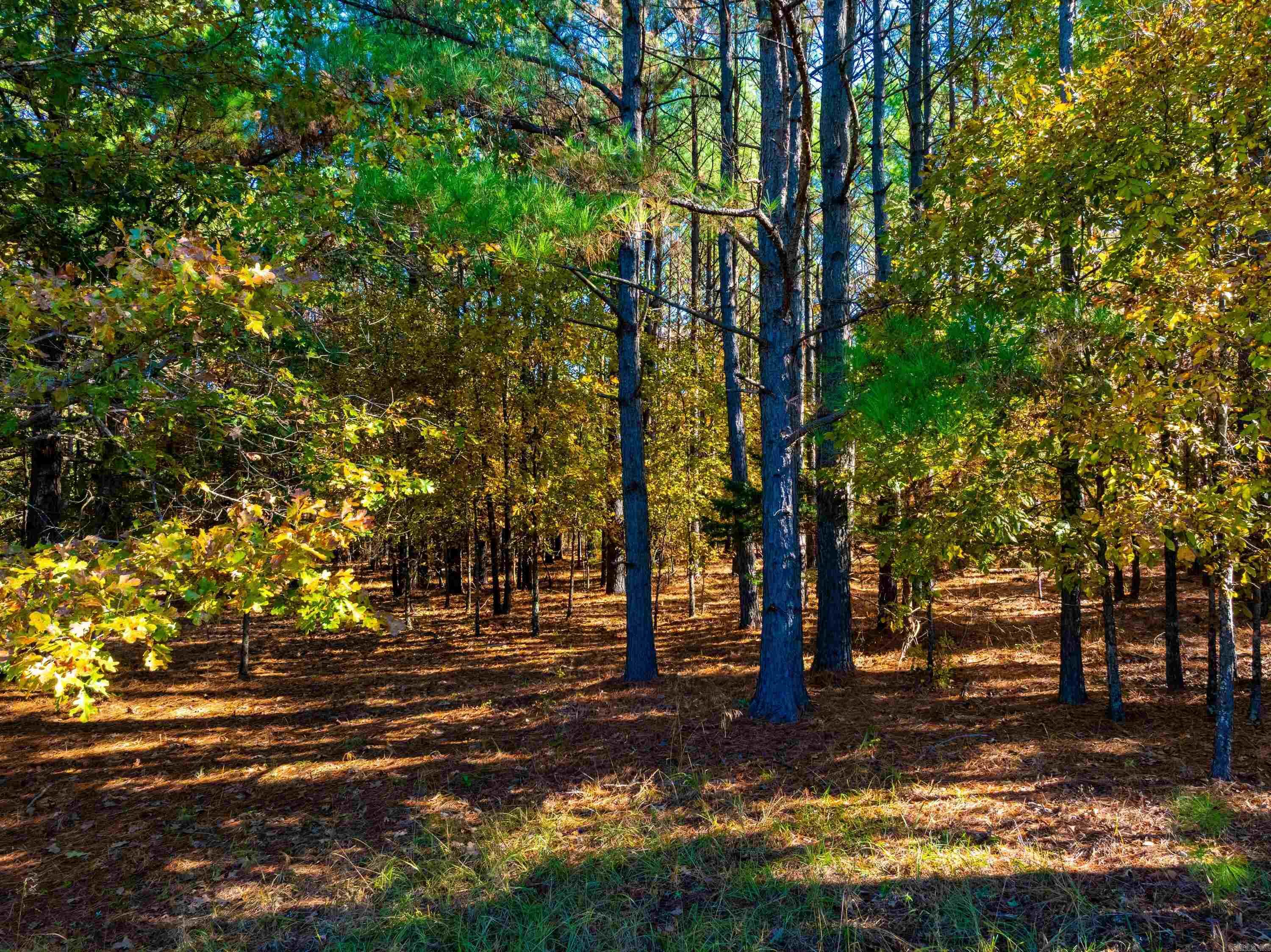 519 Jackson 347  Bradford, AR