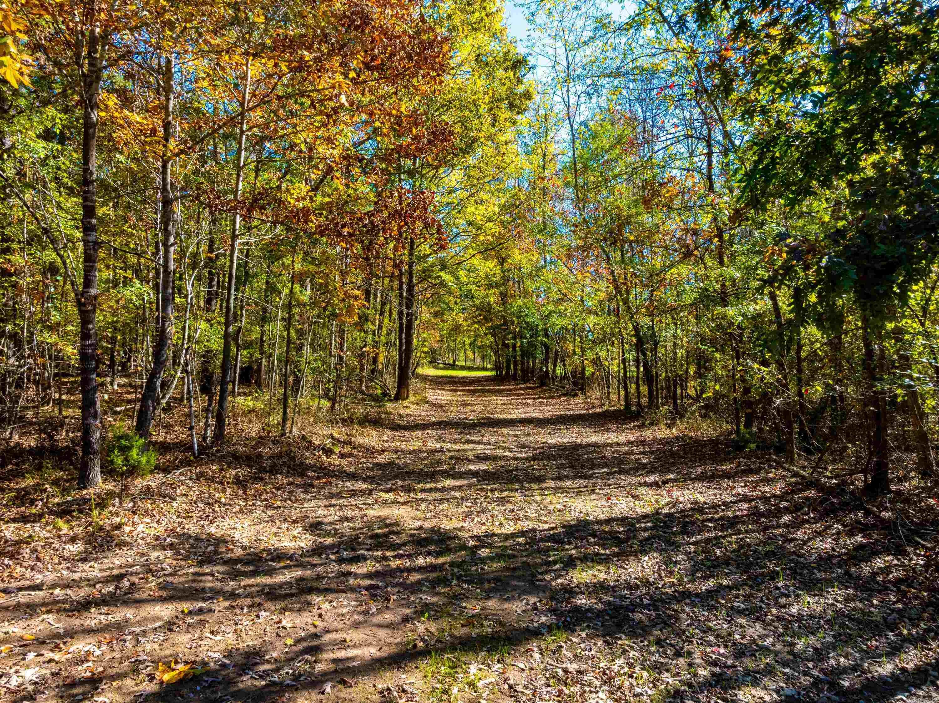 519 Jackson 347  Bradford, AR