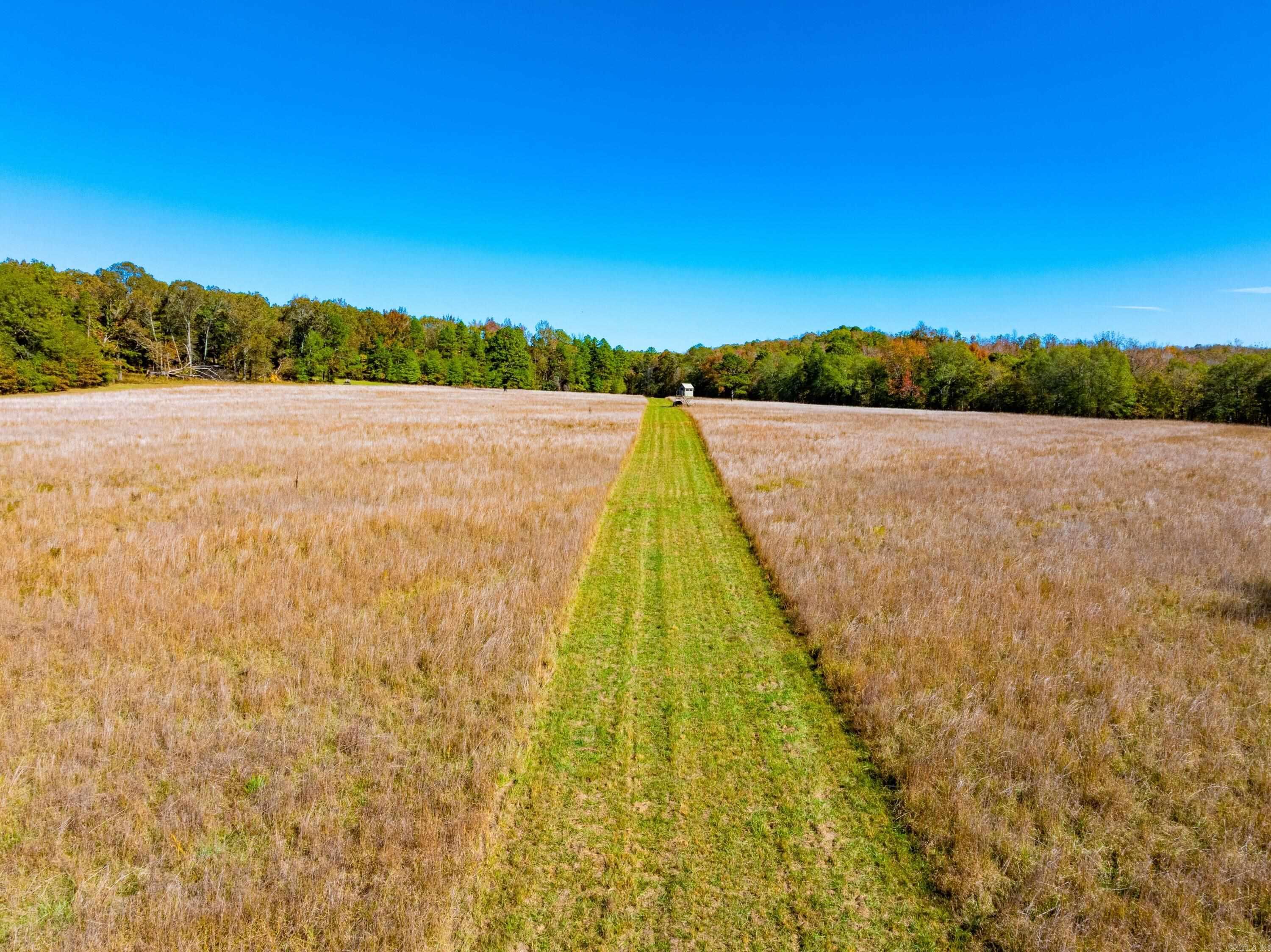 519 Jackson 347  Bradford, AR