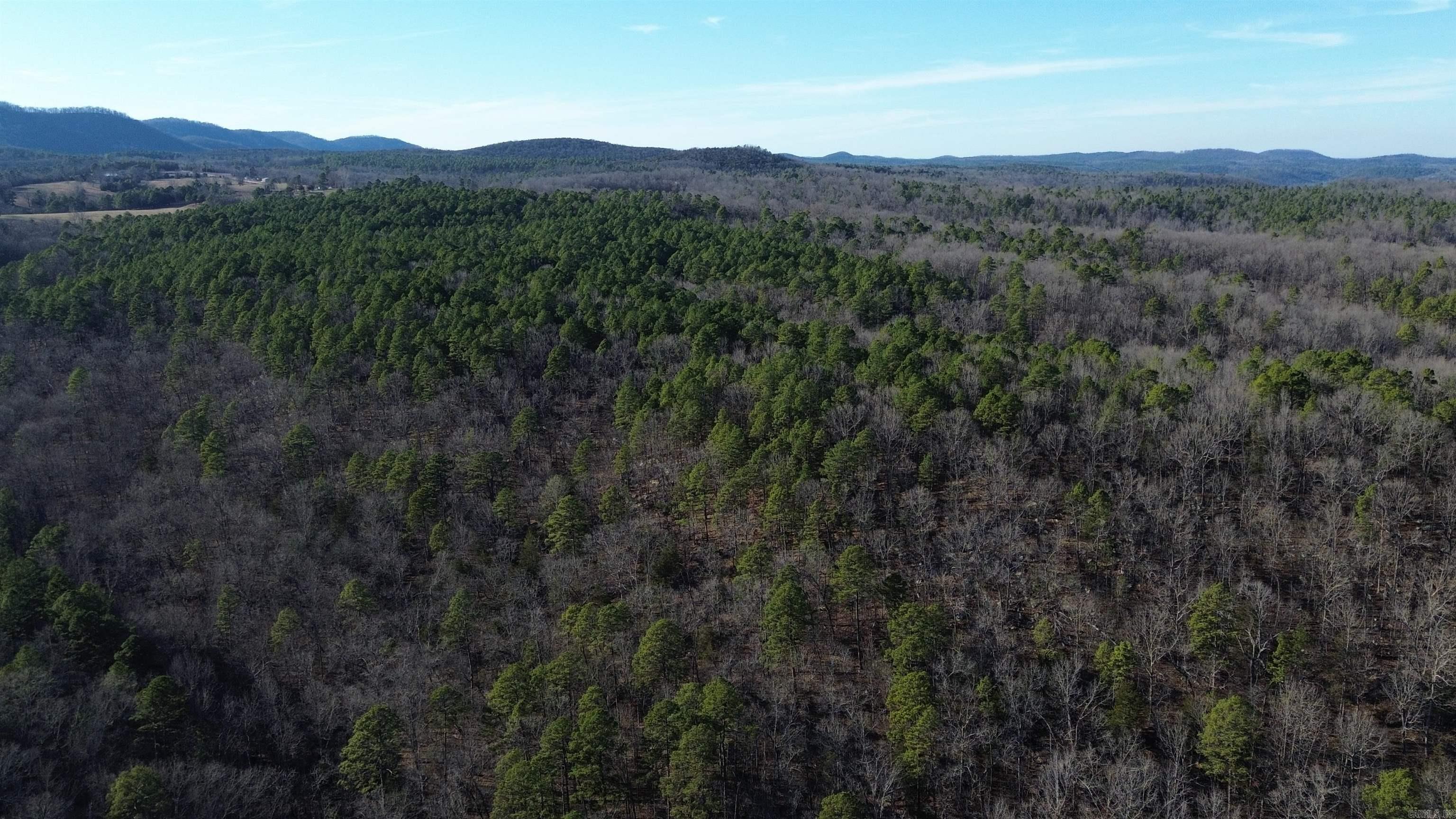 12404 Push Mountain Rd.  Calico Rock, AR