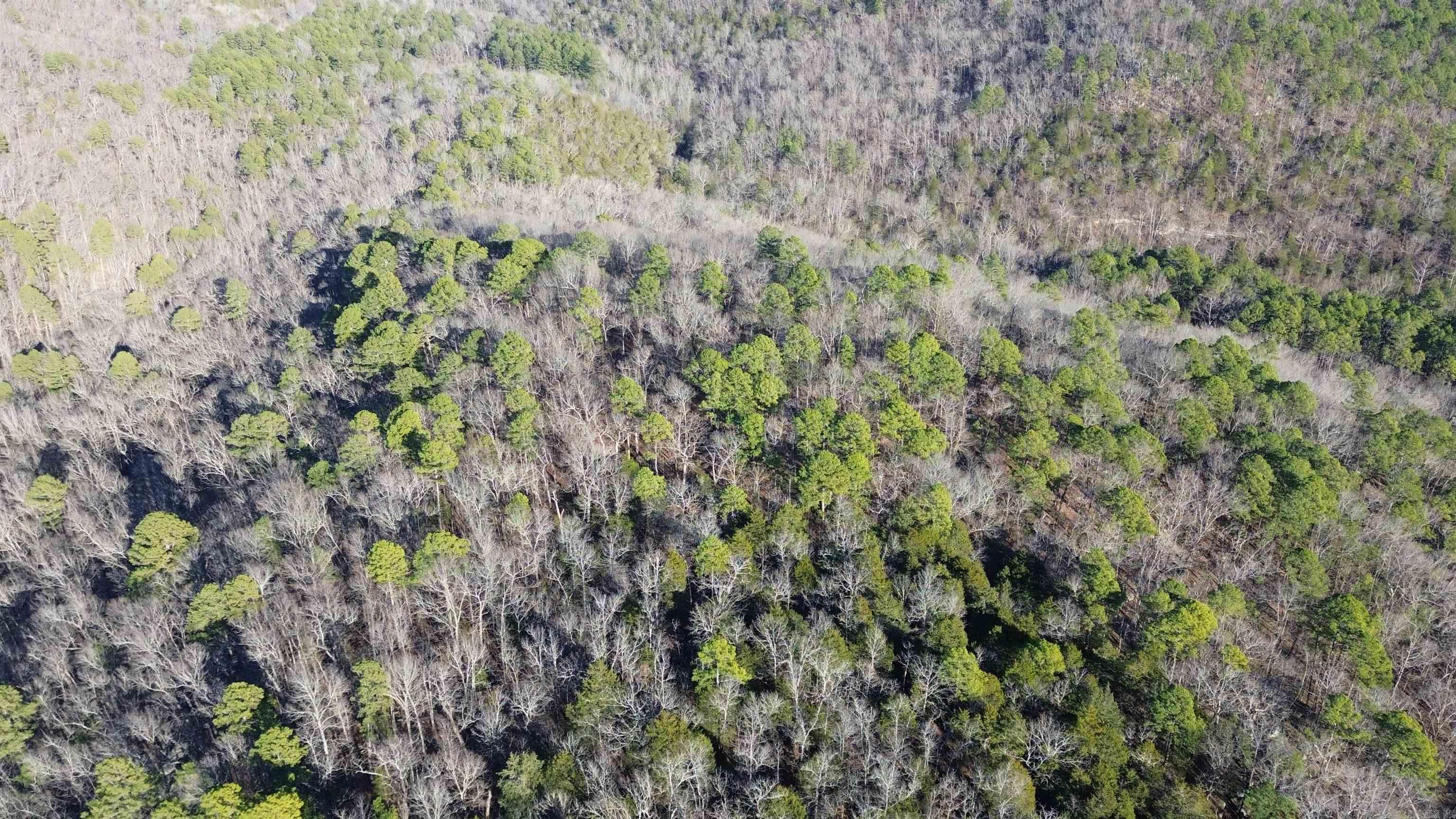 12404 Push Mountain Rd.  Calico Rock, AR