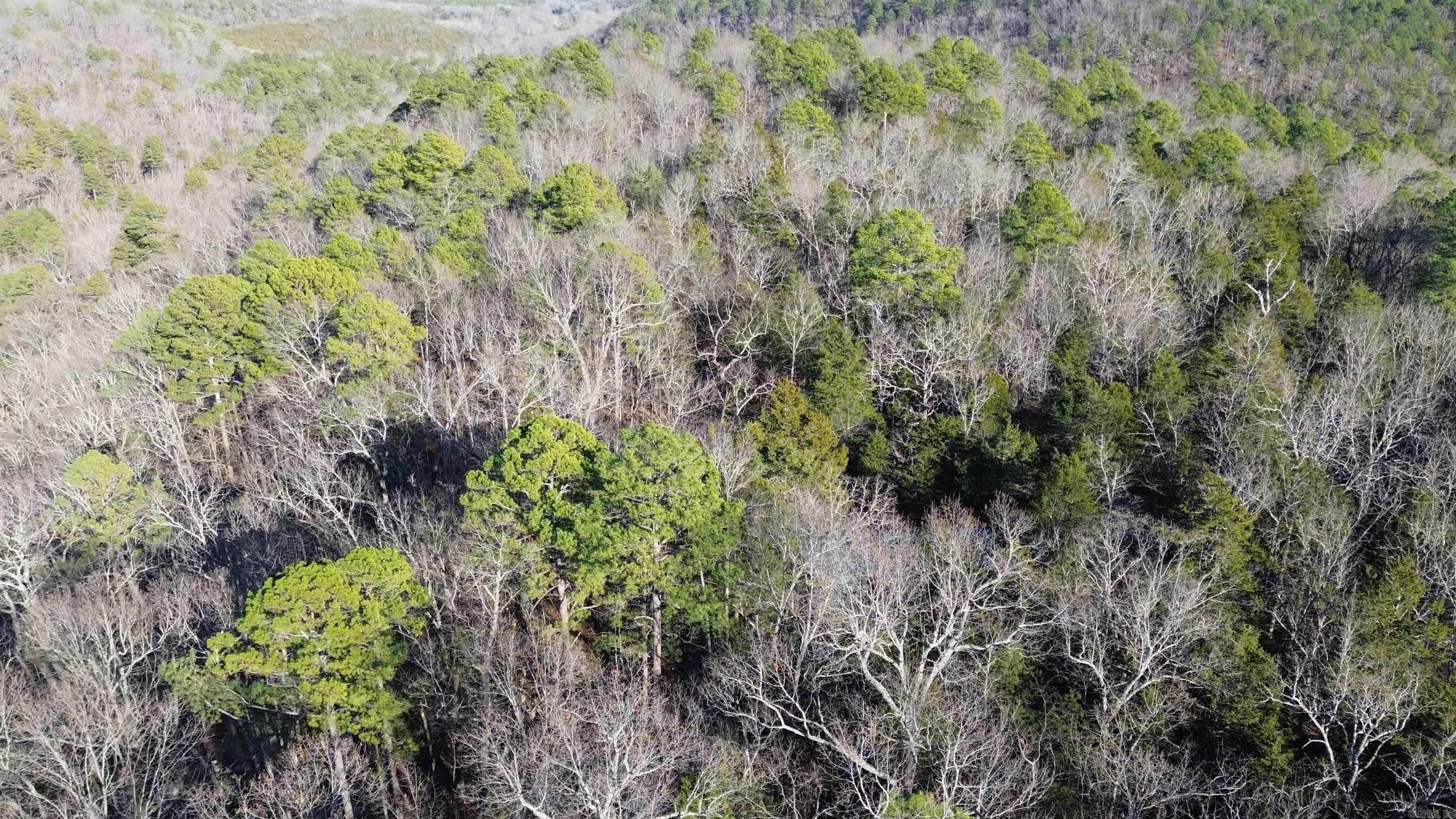 12404 Push Mountain Rd.  Calico Rock, AR