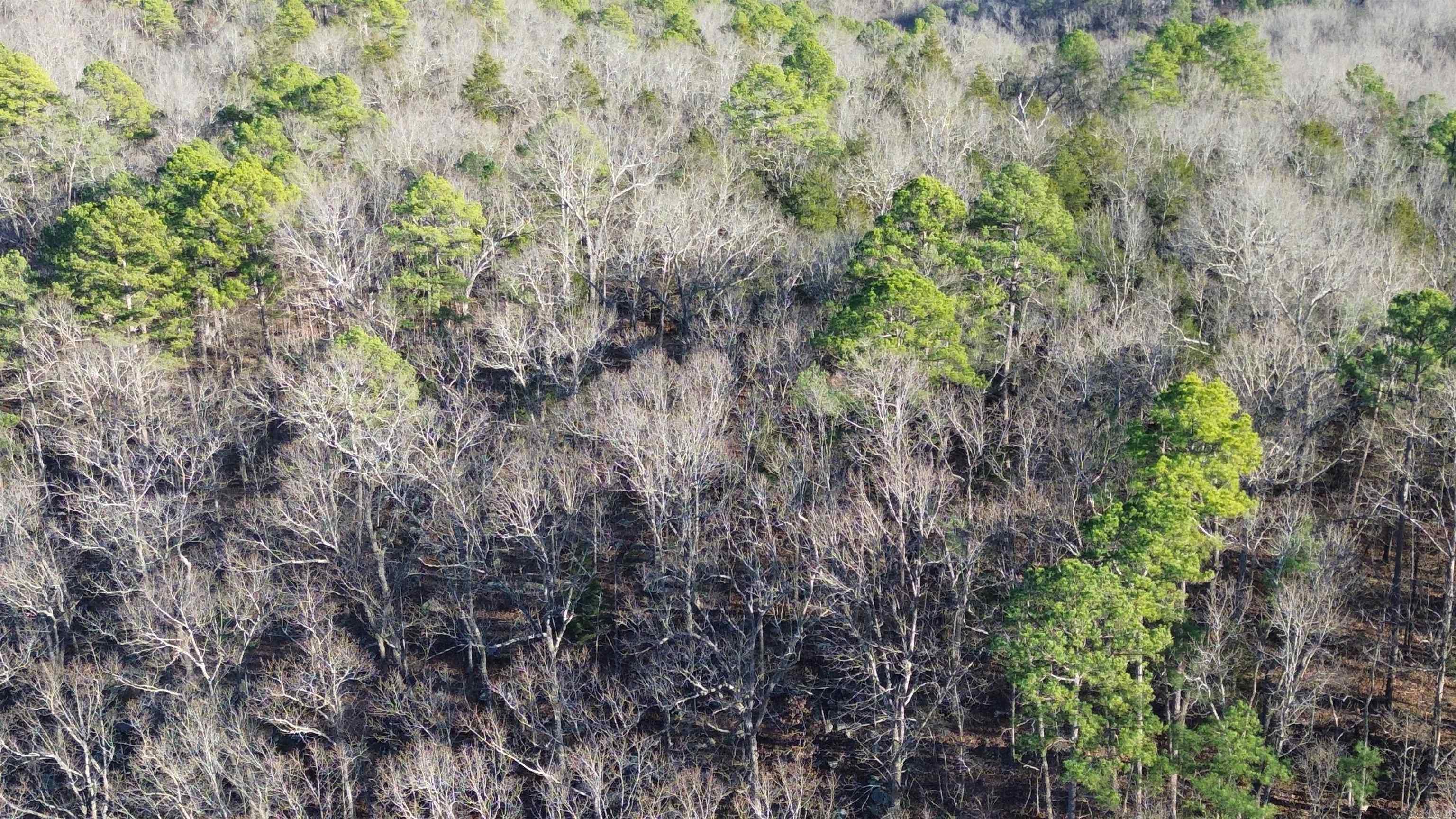 12404 Push Mountain Rd.  Calico Rock, AR