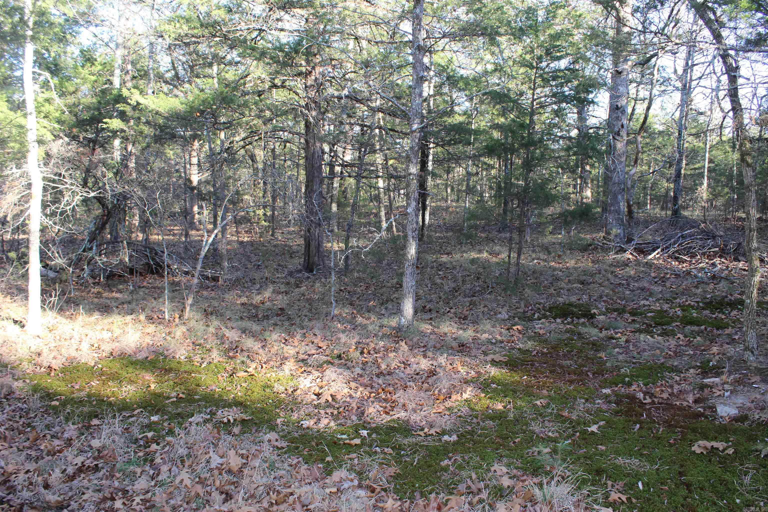 12404 Push Mountain Rd.  Calico Rock, AR