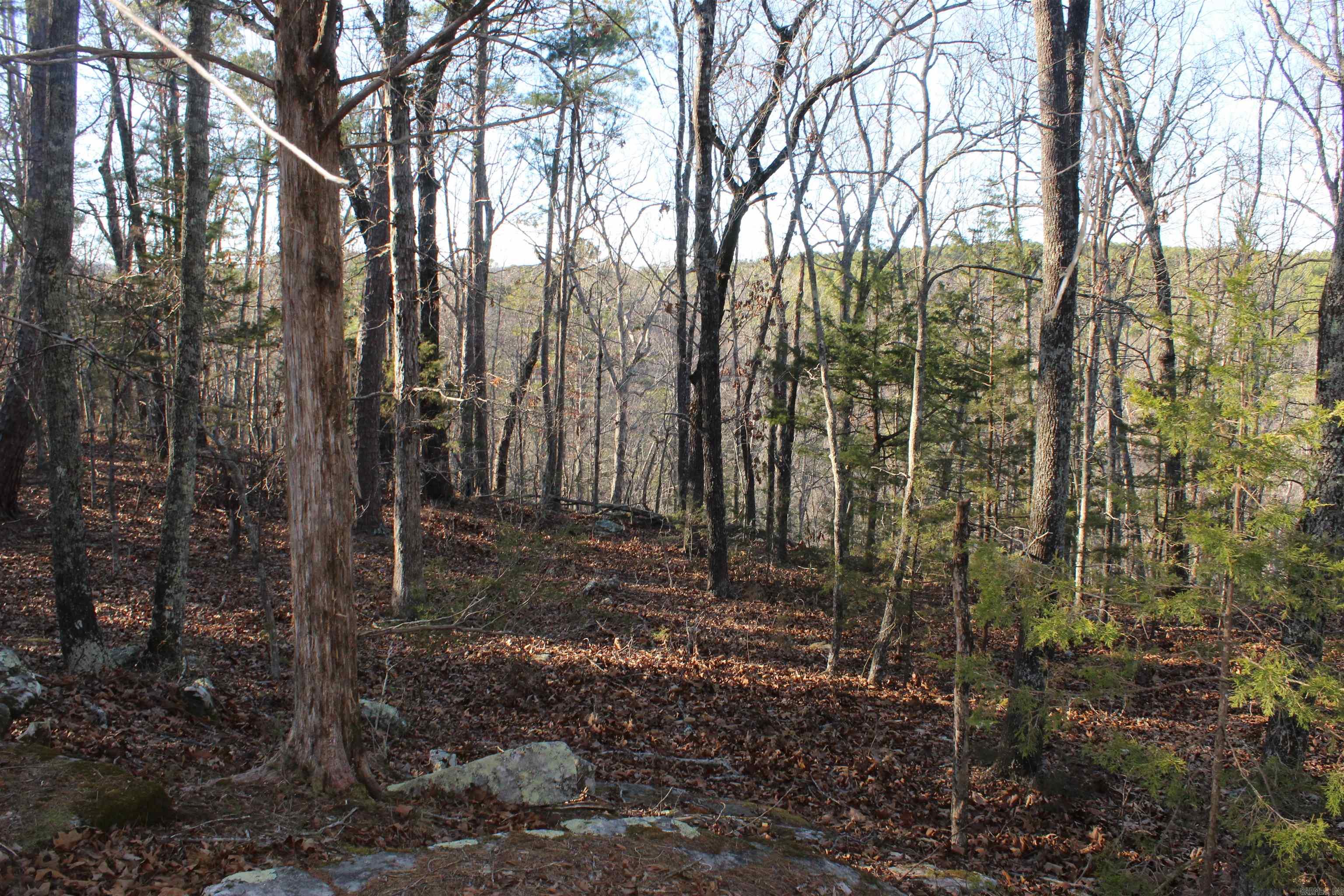 12404 Push Mountain Rd.  Calico Rock, AR