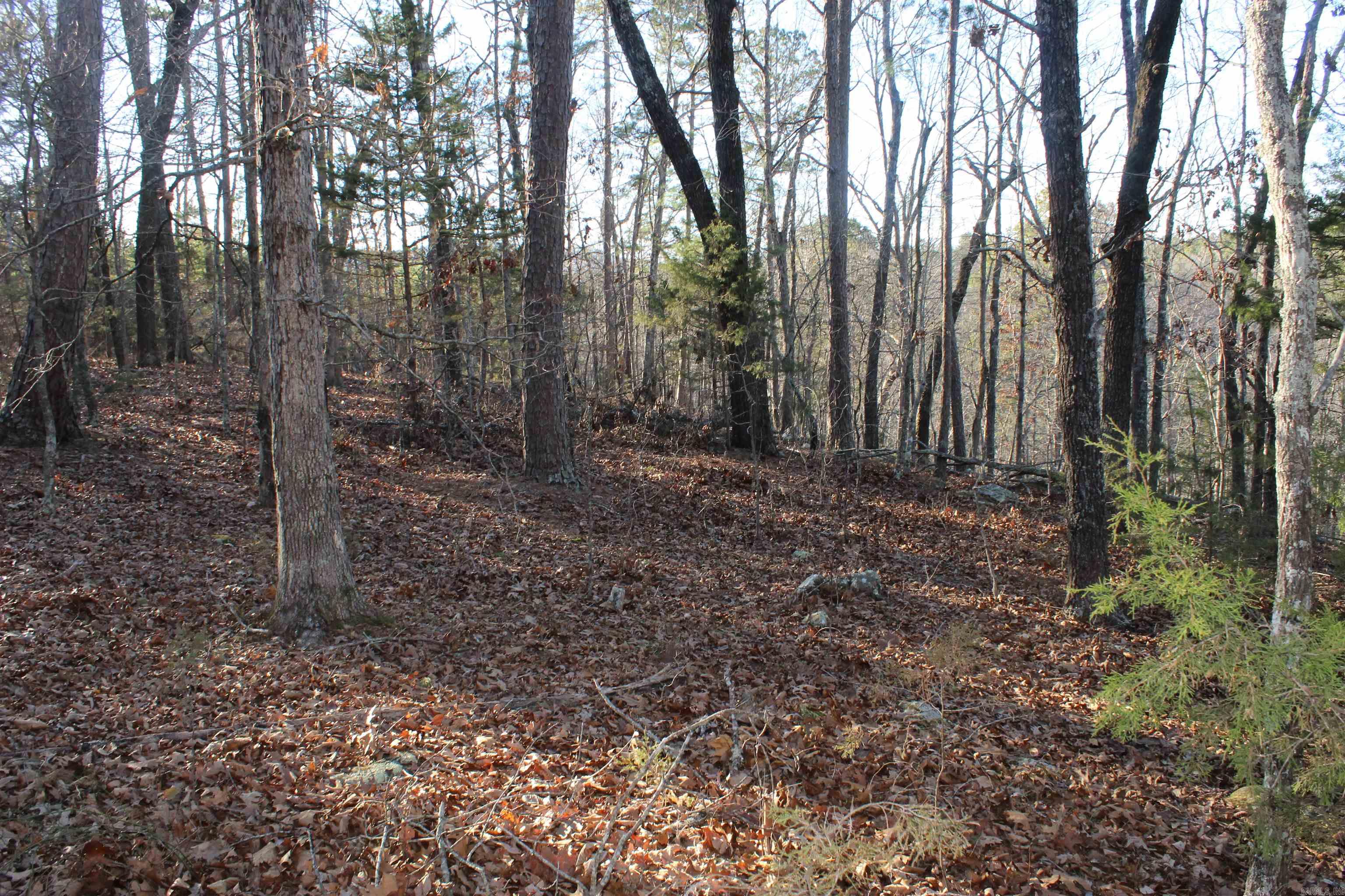 12404 Push Mountain Rd.  Calico Rock, AR