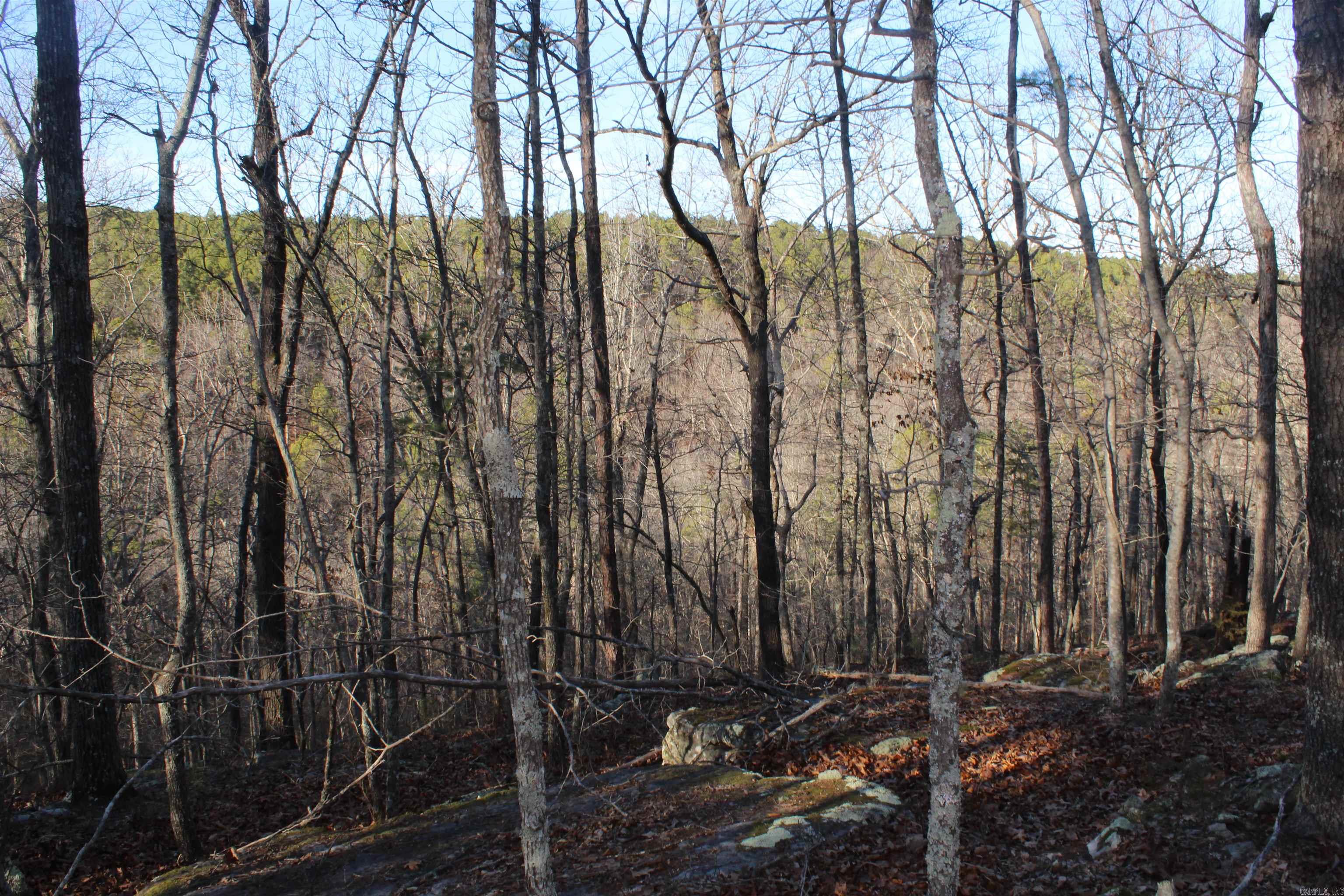 12404 Push Mountain Rd.  Calico Rock, AR