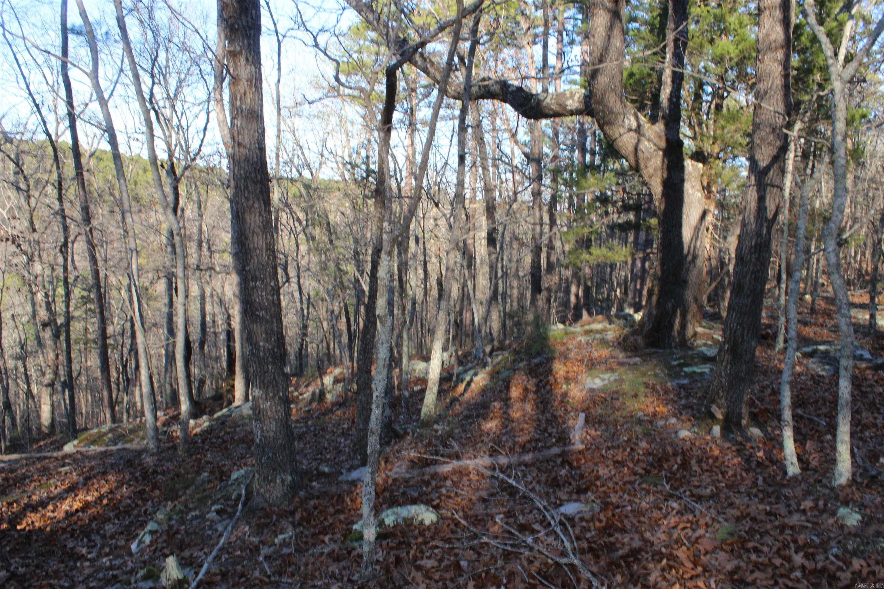 12404 Push Mountain Rd.  Calico Rock, AR