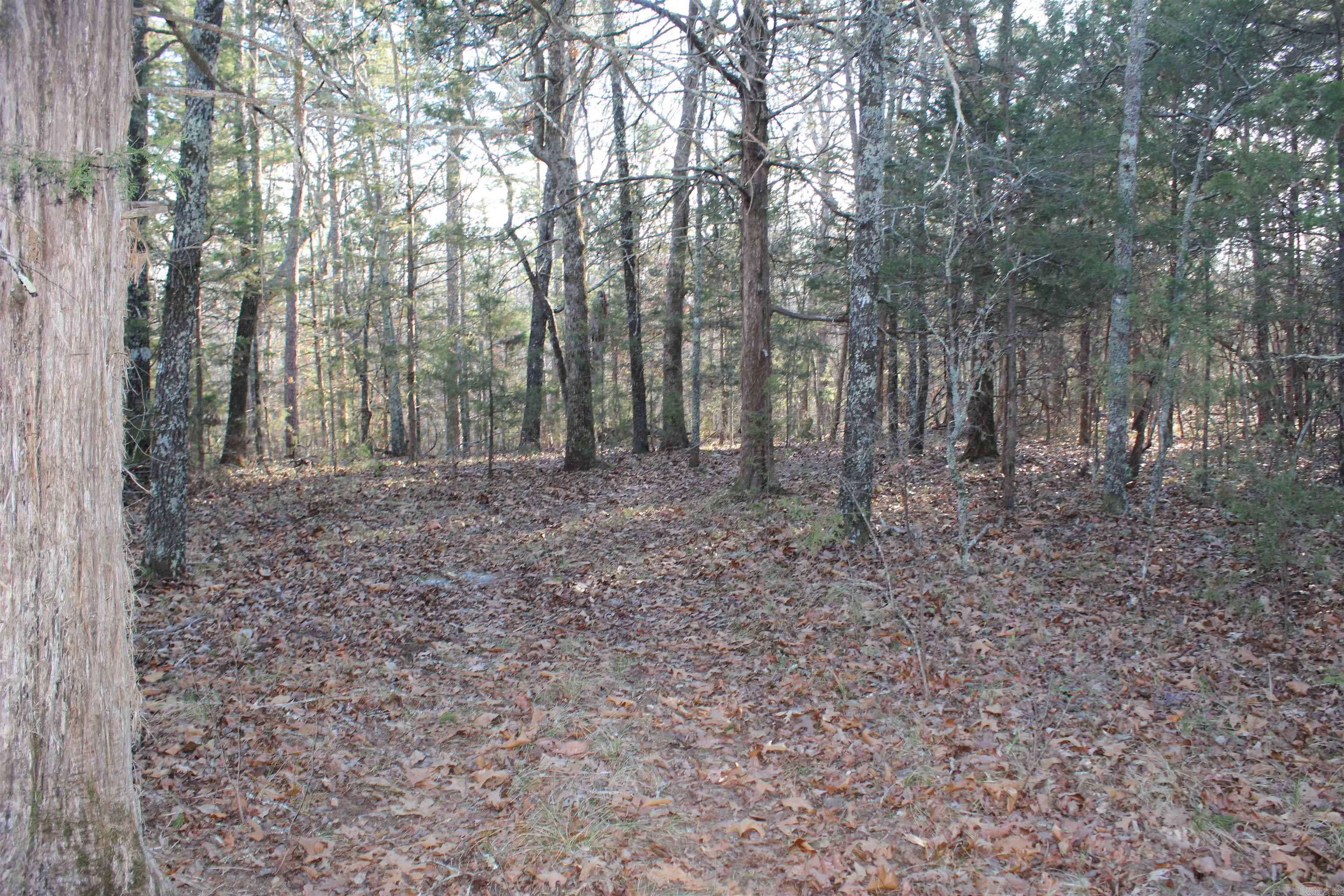 12404 Push Mountain Rd.  Calico Rock, AR