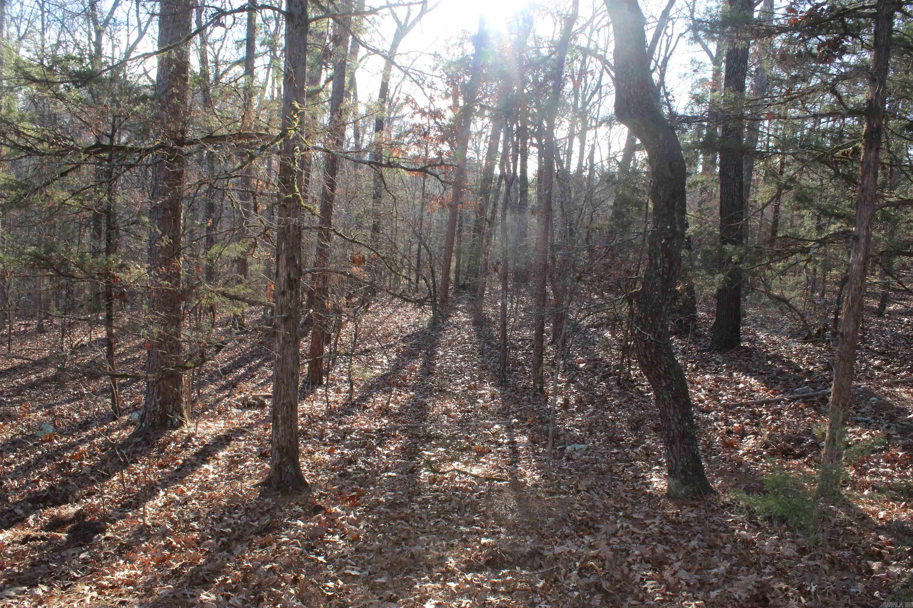 12404 Push Mountain Rd.  Calico Rock, AR