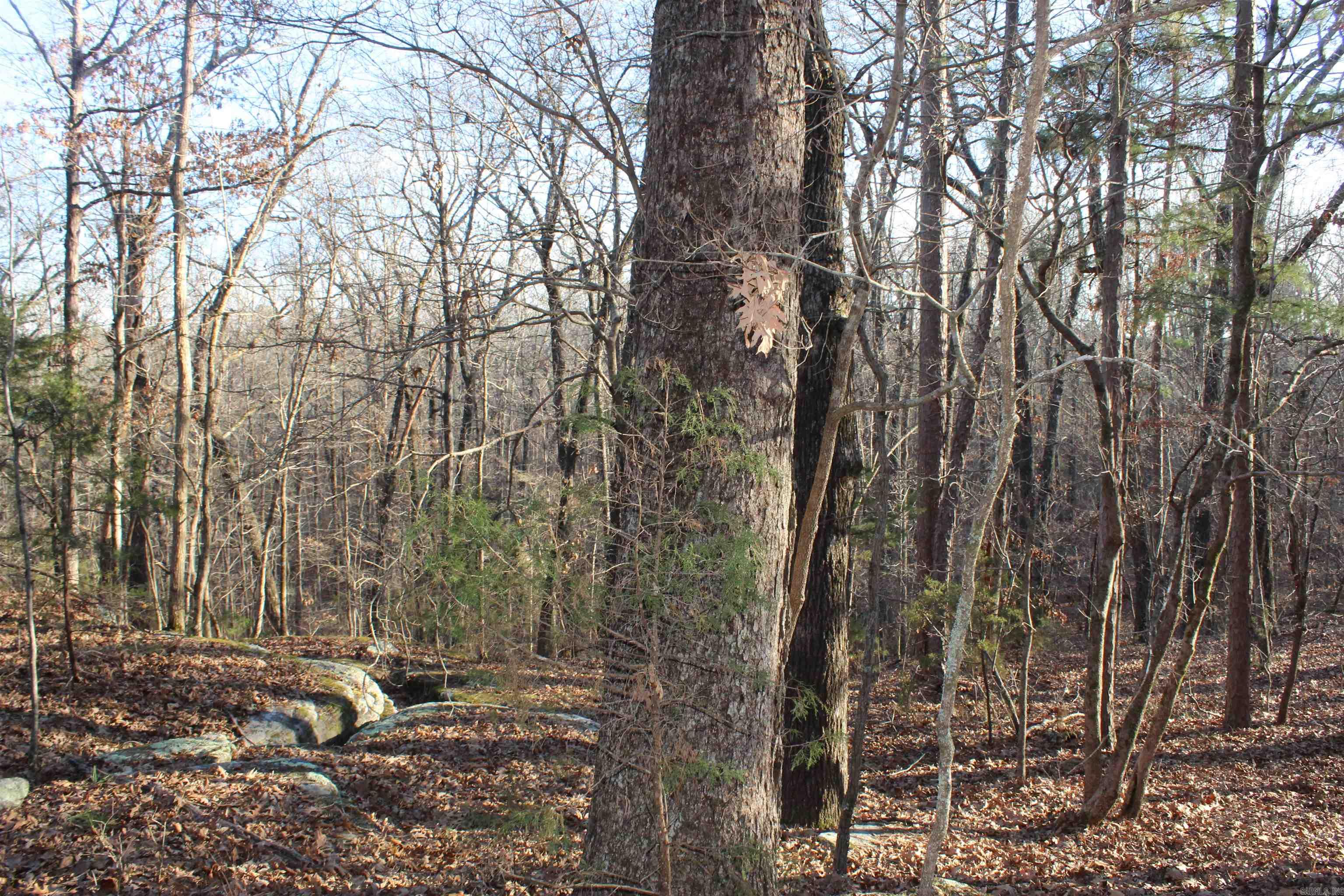 12404 Push Mountain Rd.  Calico Rock, AR