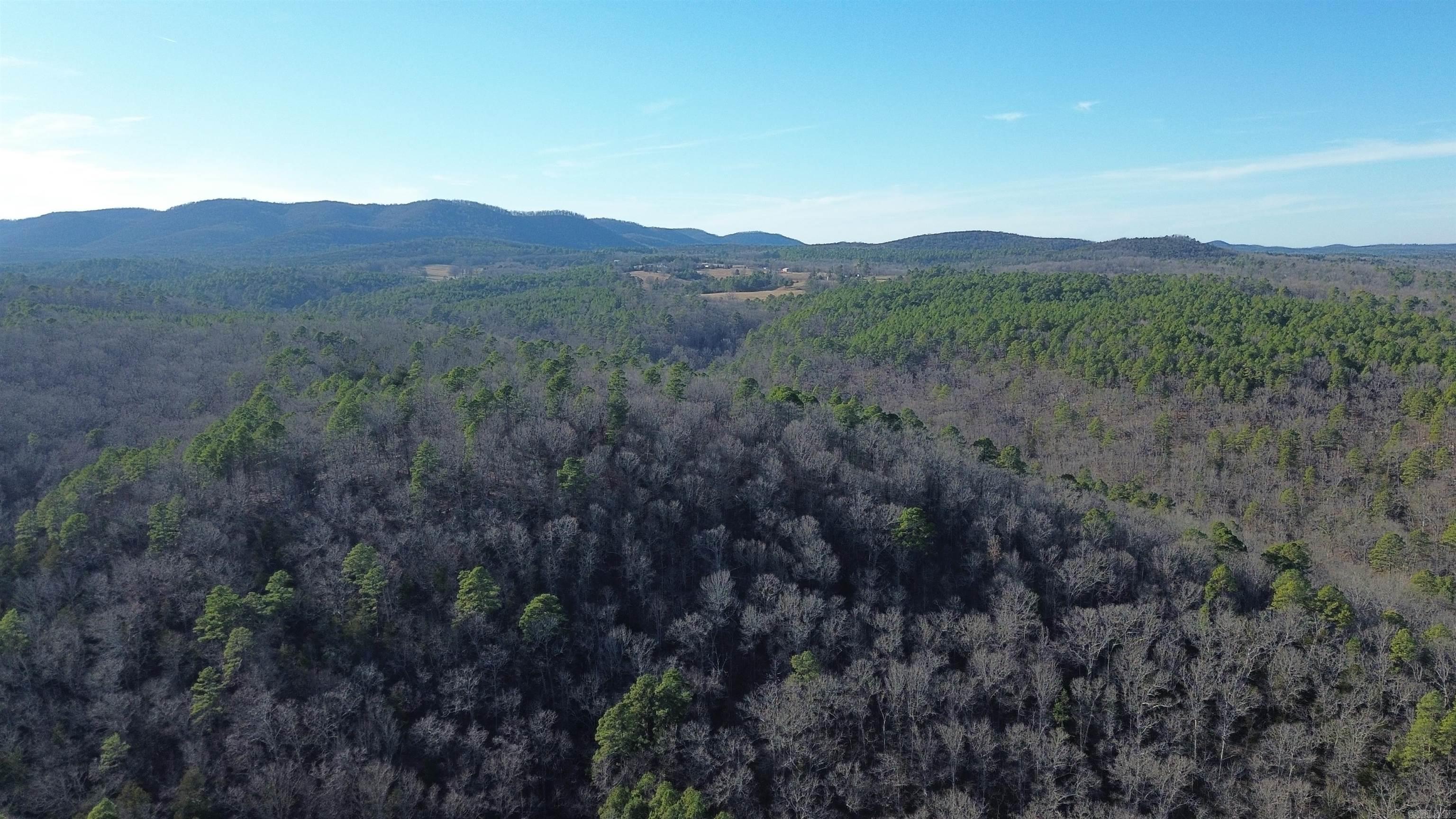 12404 Push Mountain Rd.  Calico Rock, AR