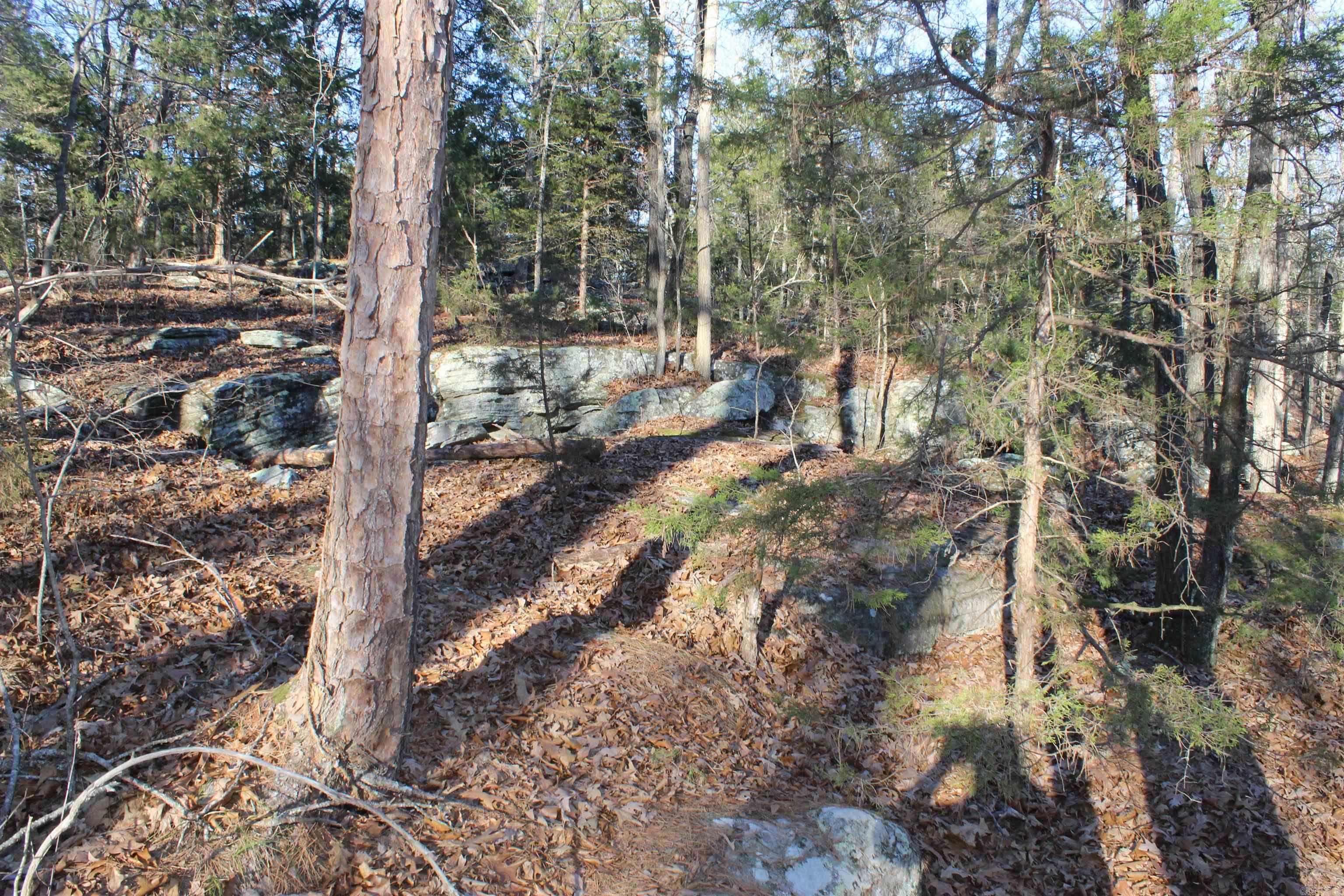 12404 Push Mountain Rd.  Calico Rock, AR