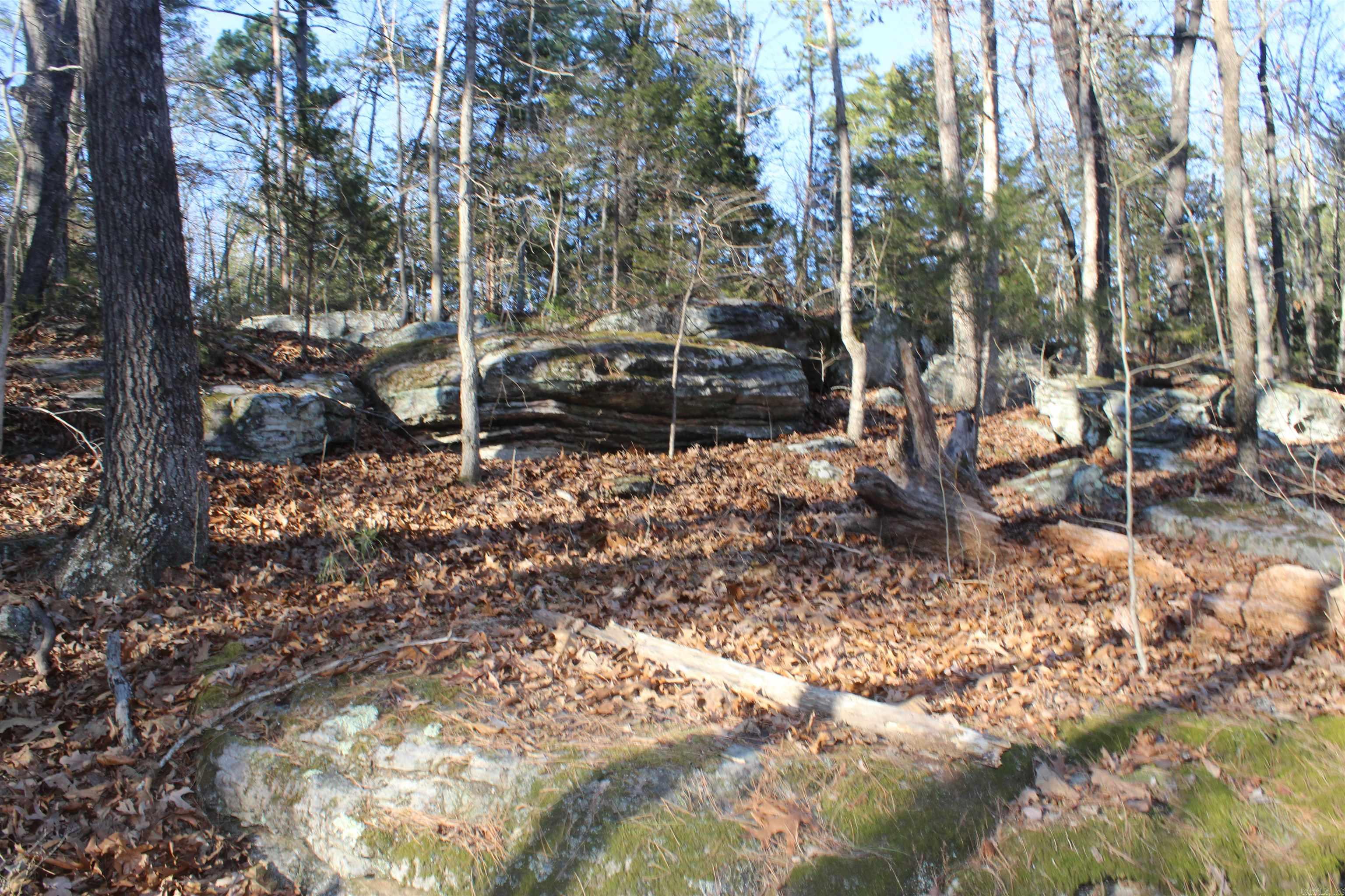 12404 Push Mountain Rd.  Calico Rock, AR