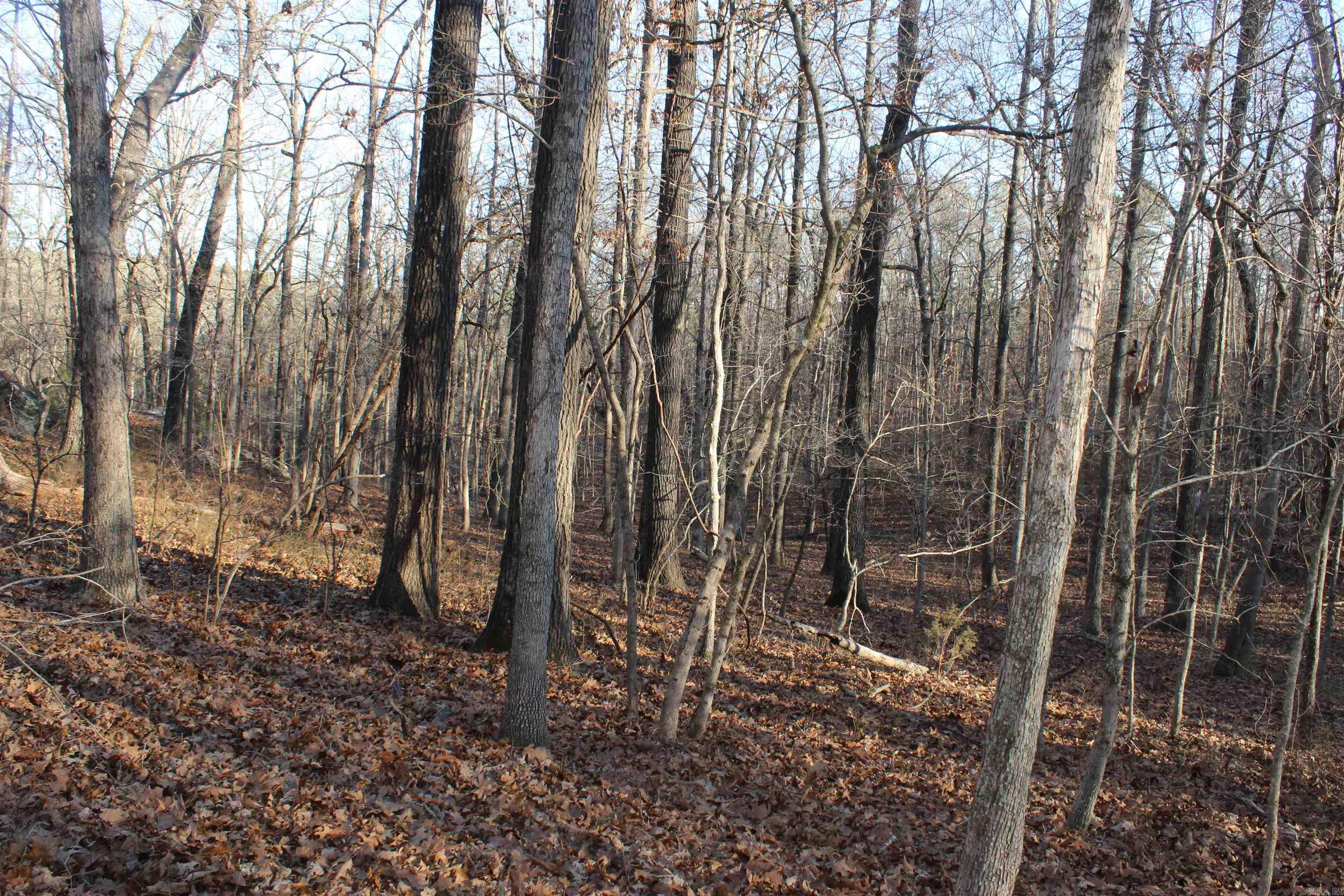 12404 Push Mountain Rd.  Calico Rock, AR