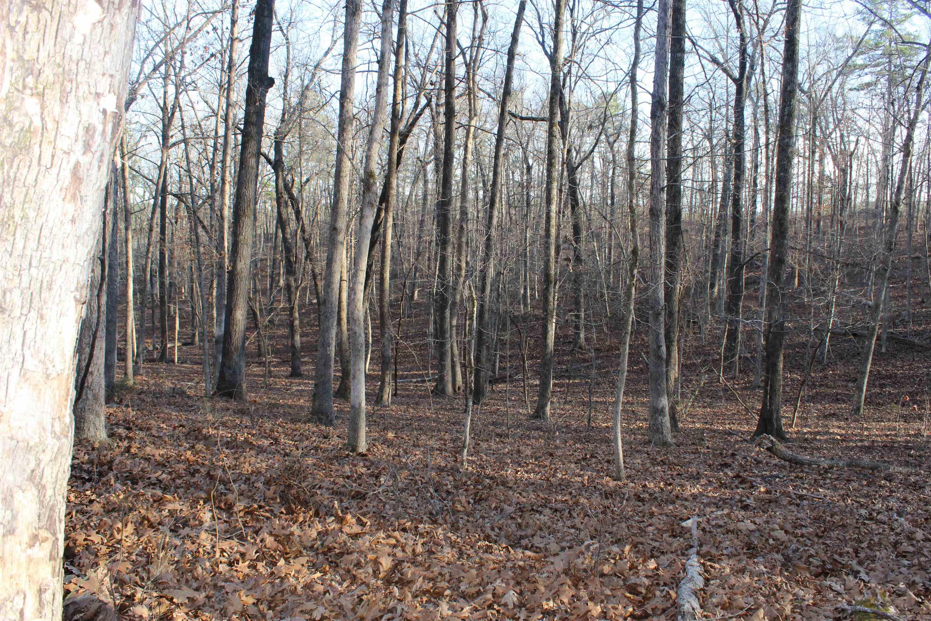 12404 Push Mountain Rd.  Calico Rock, AR