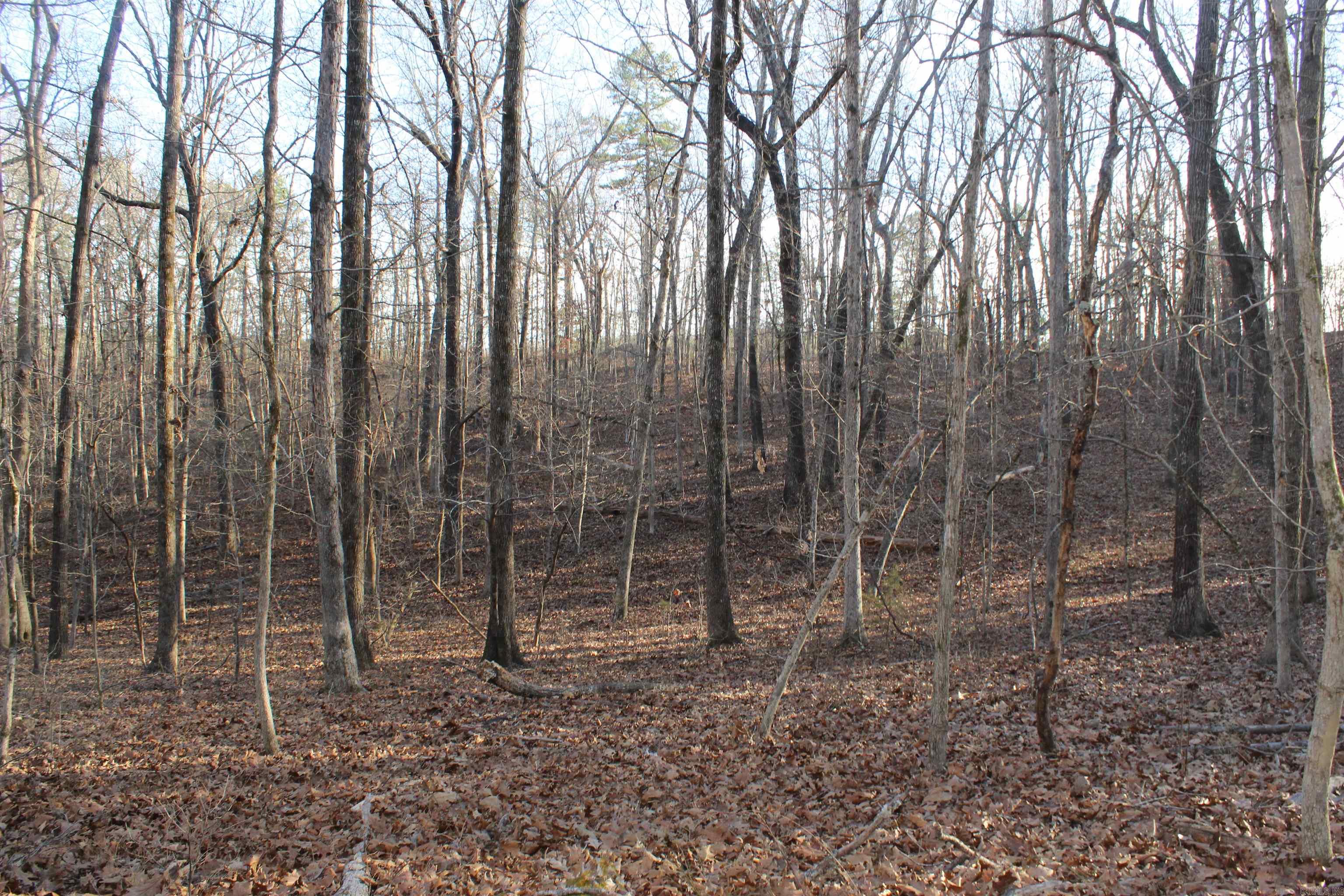 12404 Push Mountain Rd.  Calico Rock, AR