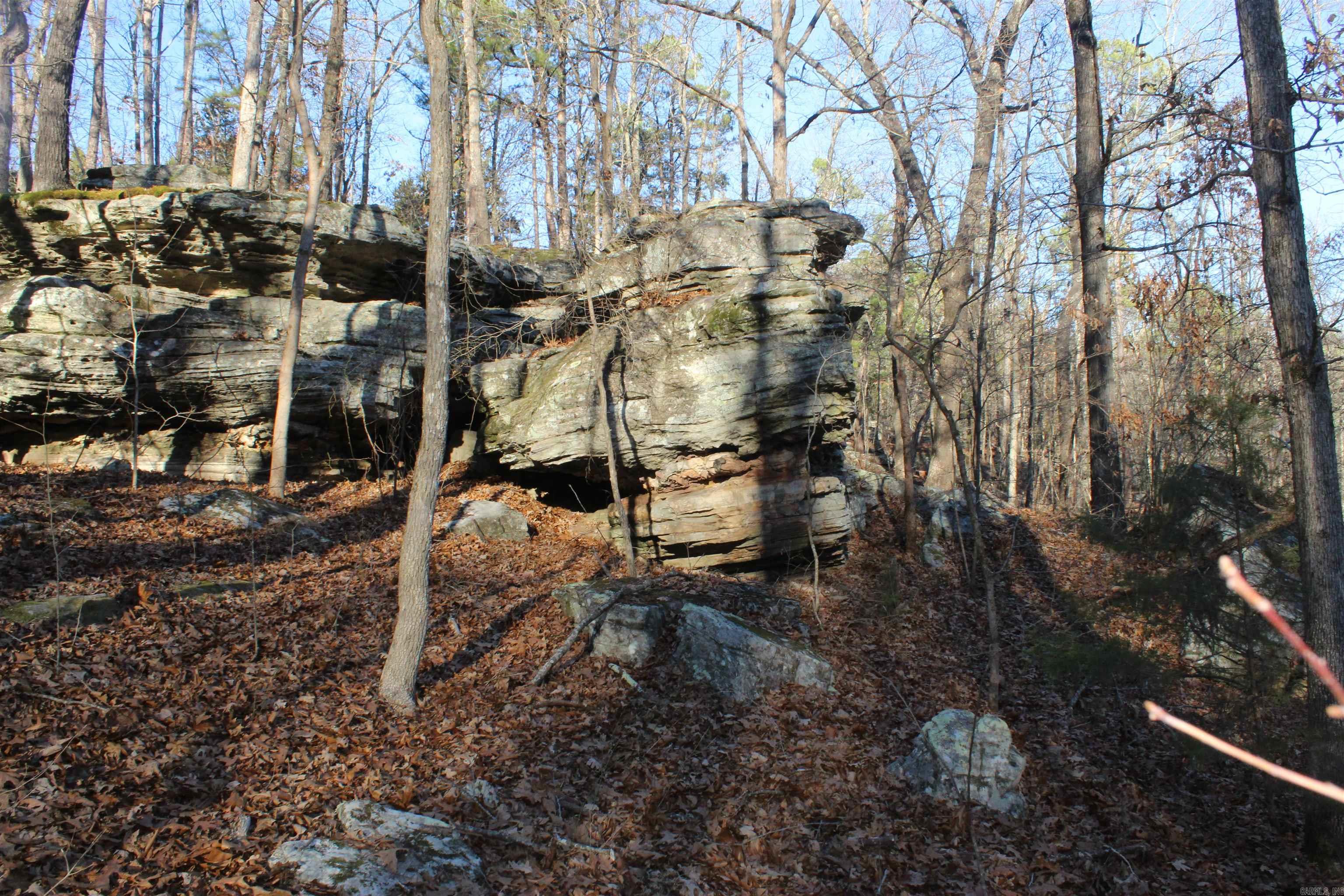 12404 Push Mountain Rd.  Calico Rock, AR