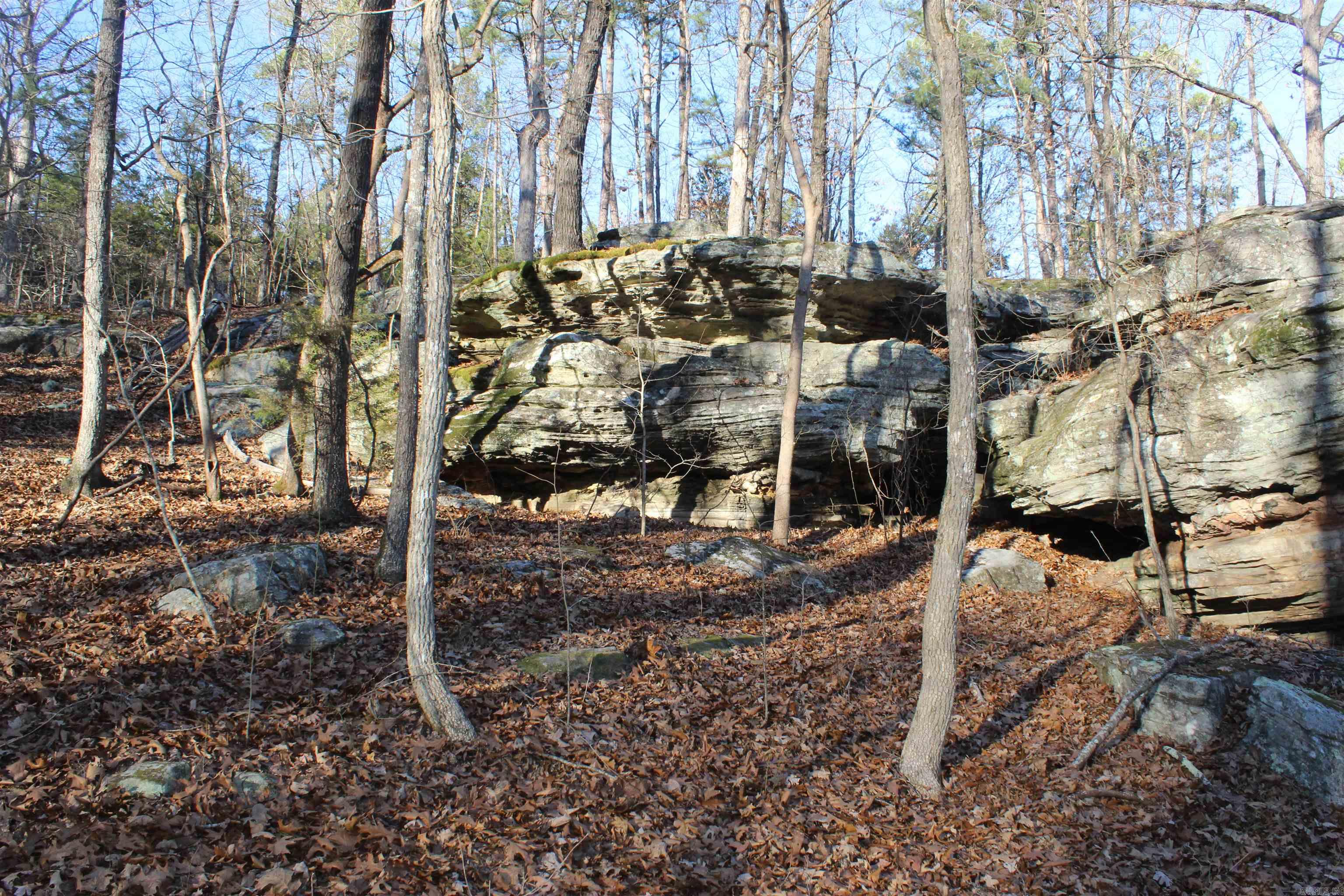 12404 Push Mountain Rd.  Calico Rock, AR