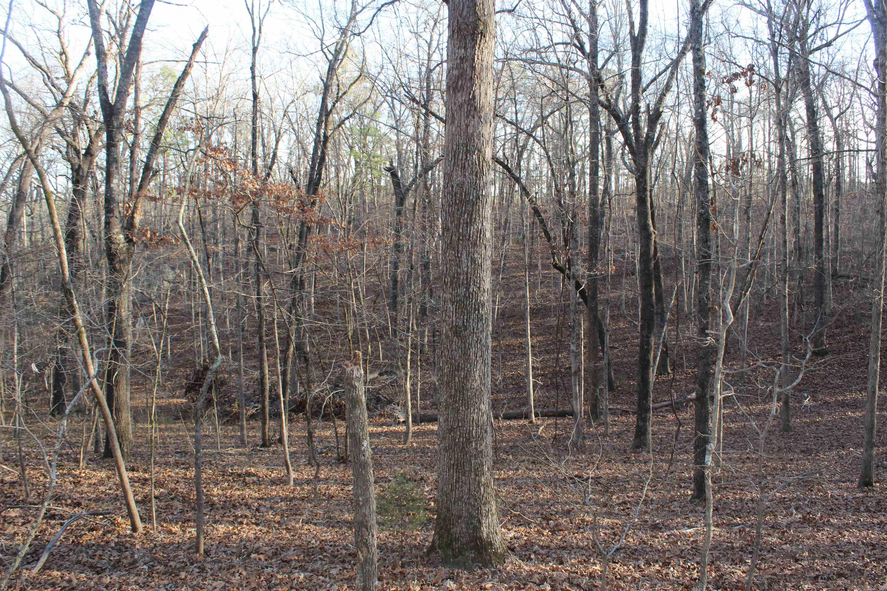 12404 Push Mountain Rd.  Calico Rock, AR