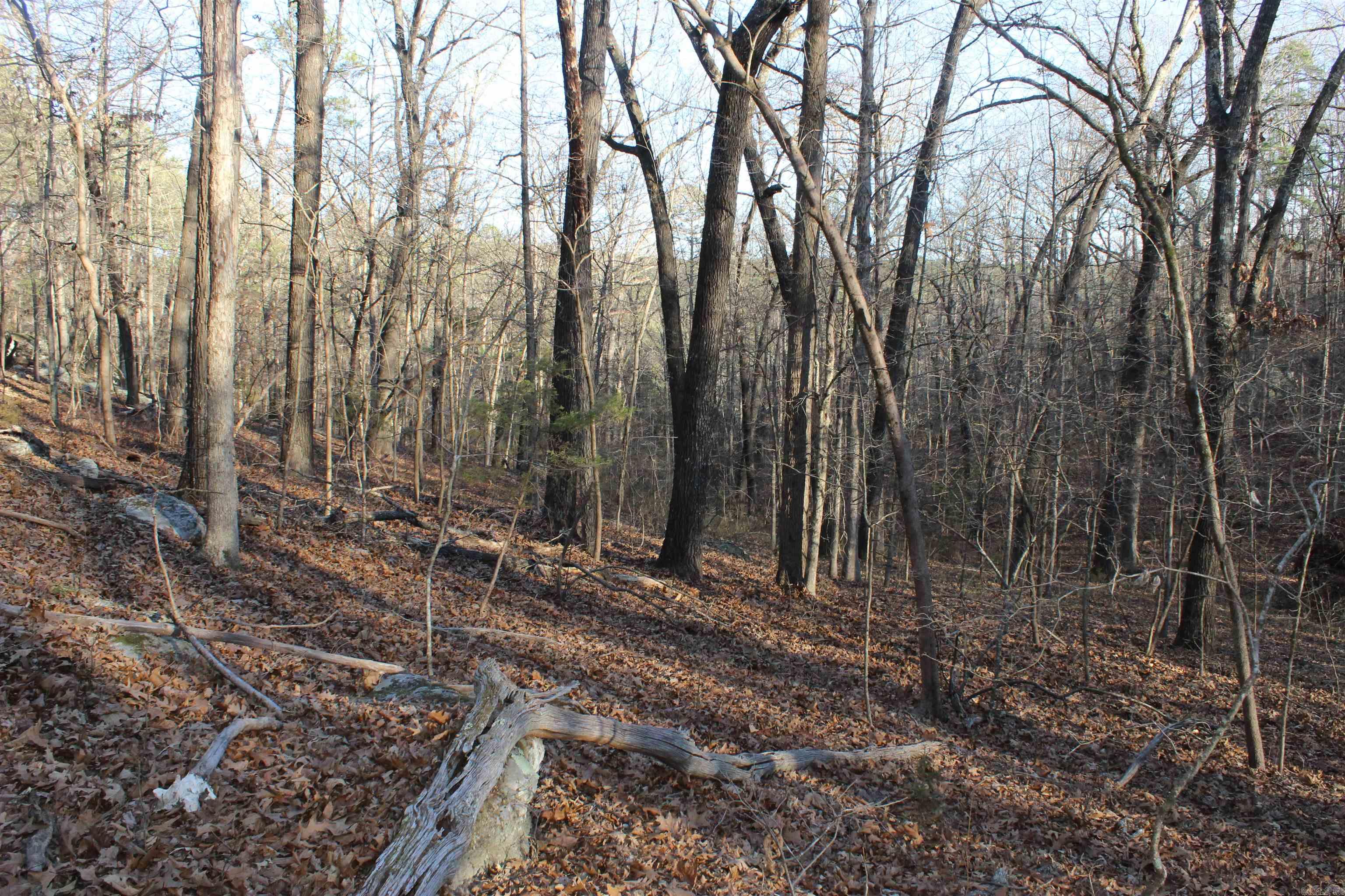 12404 Push Mountain Rd.  Calico Rock, AR