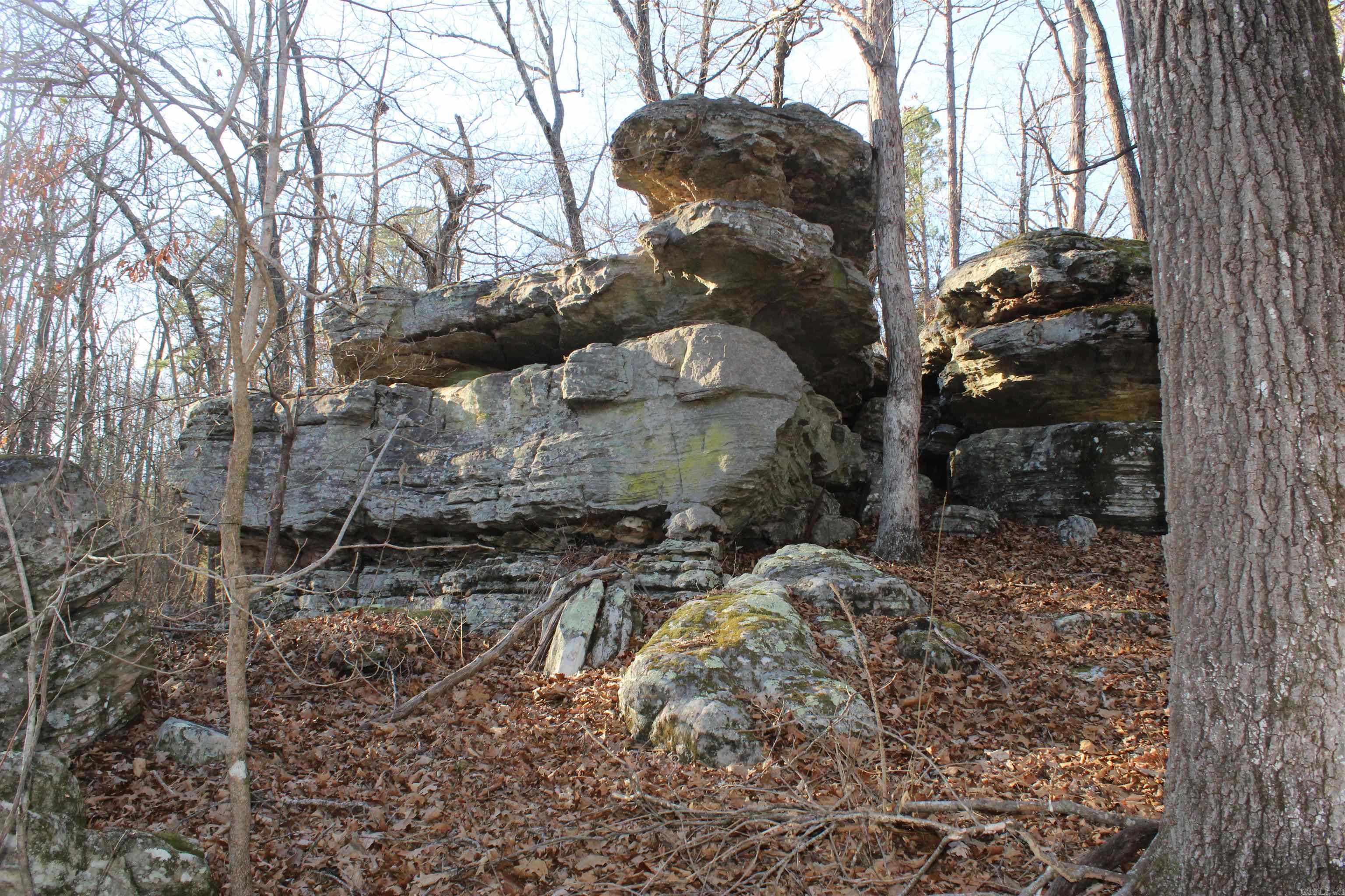 12404 Push Mountain Rd.  Calico Rock, AR