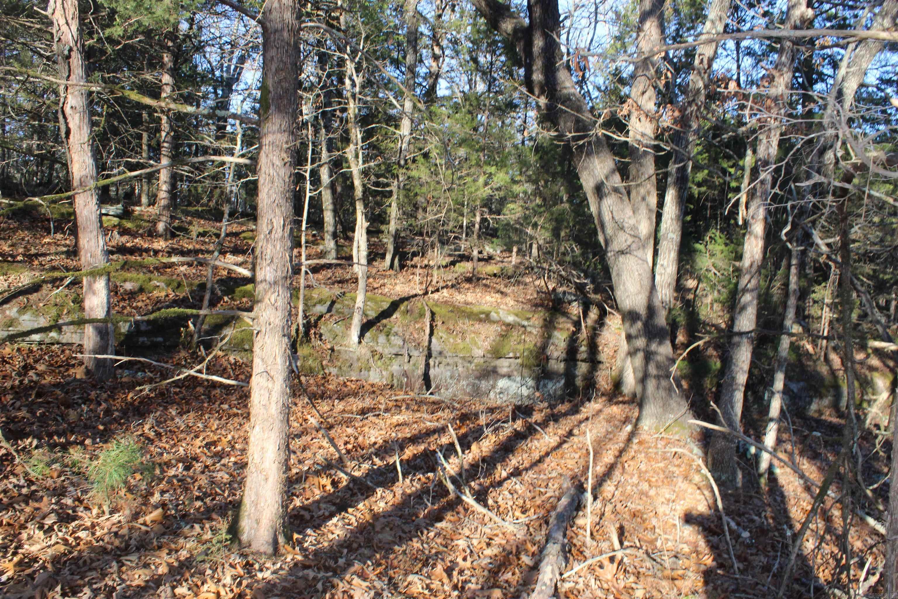 12404 Push Mountain Rd.  Calico Rock, AR