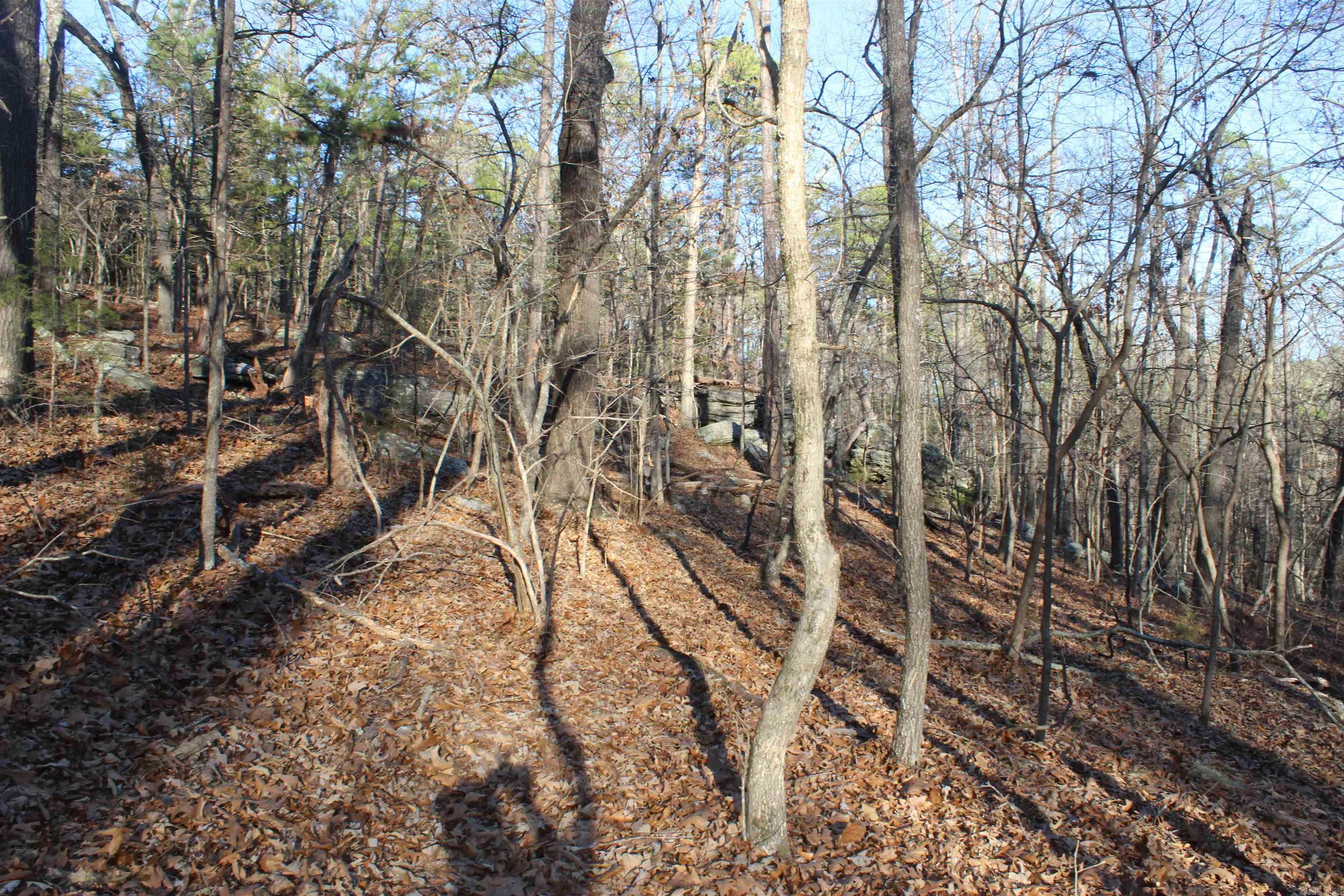 12404 Push Mountain Rd.  Calico Rock, AR