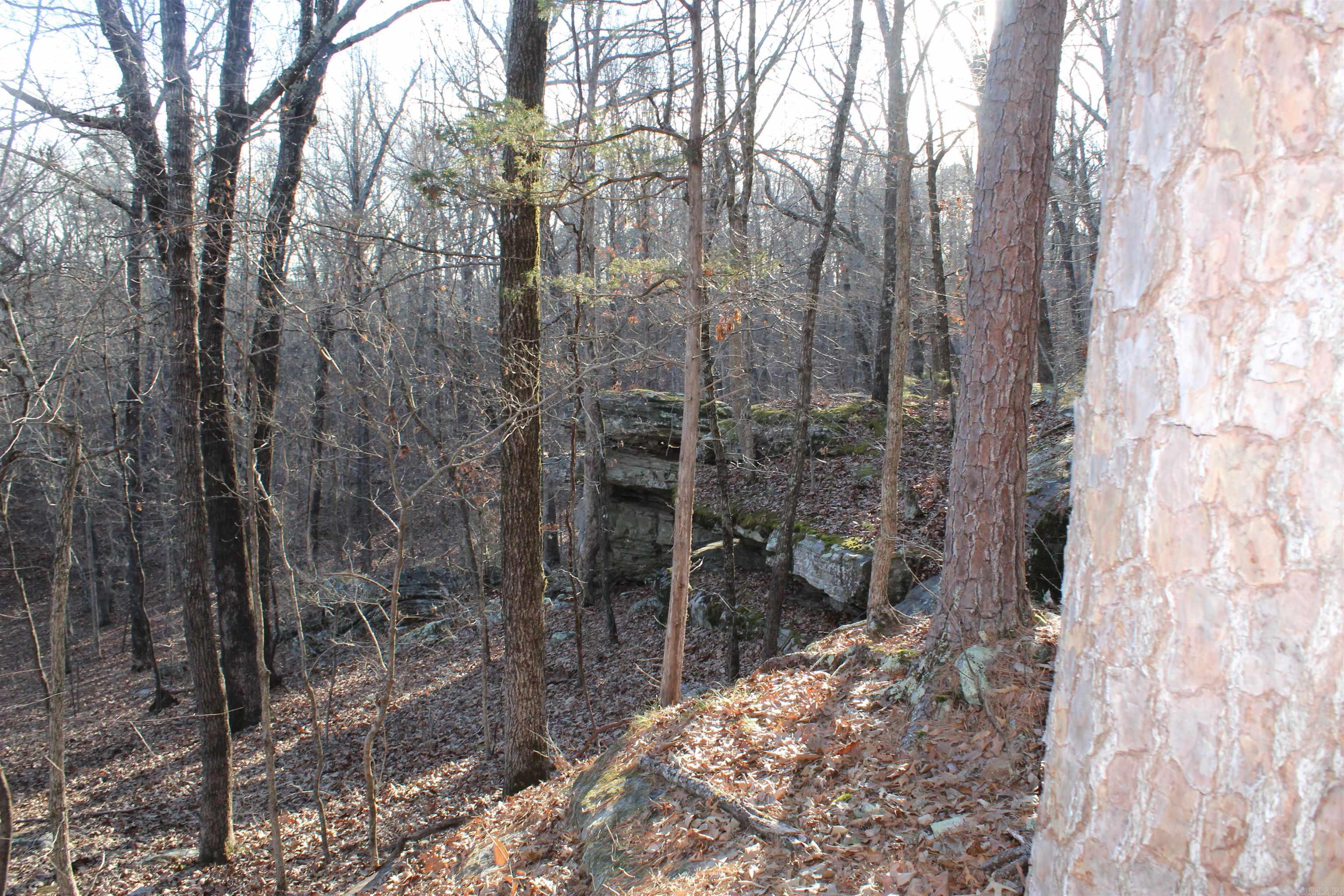 12404 Push Mountain Rd.  Calico Rock, AR