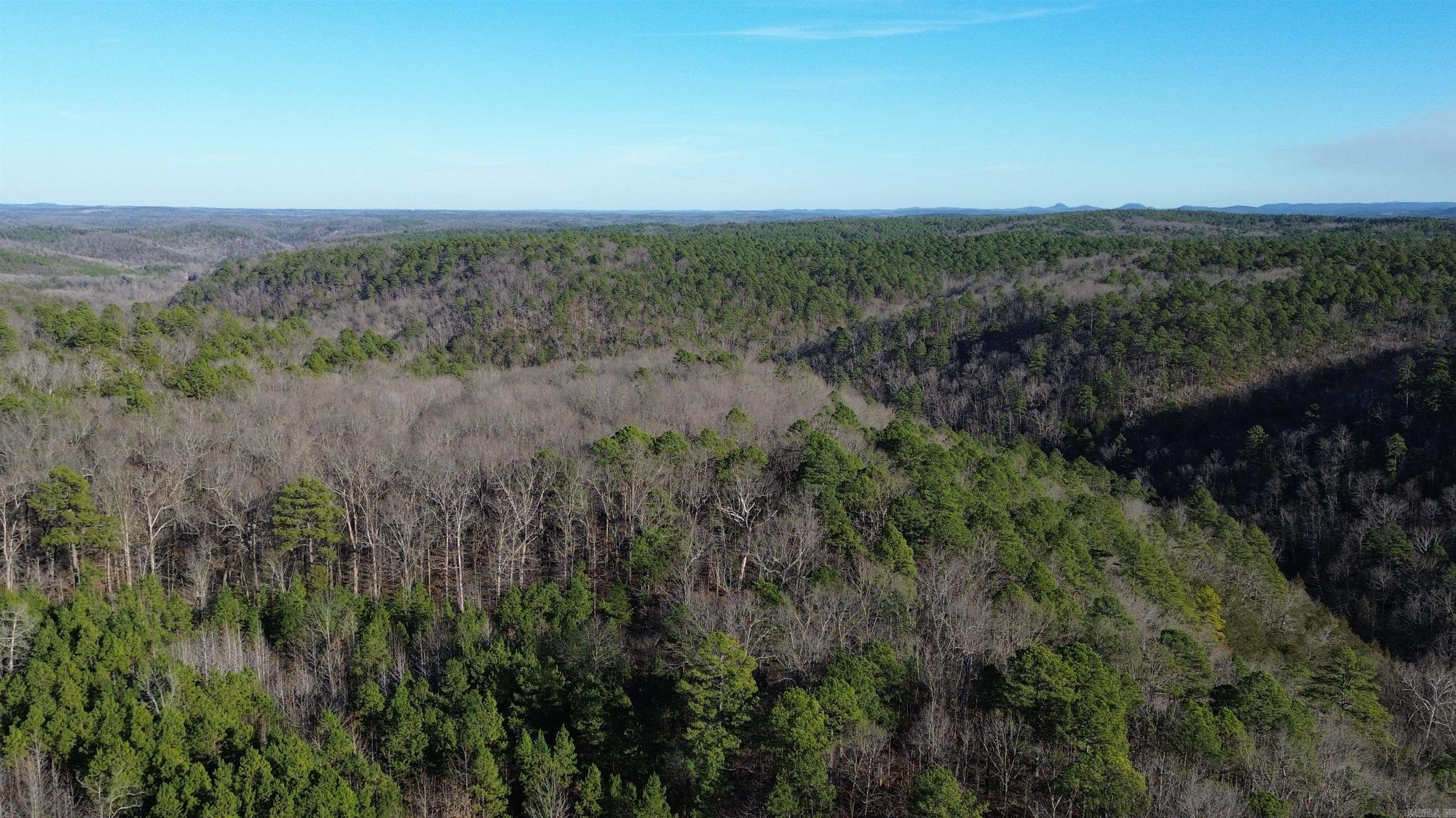 12404 Push Mountain Rd.  Calico Rock, AR