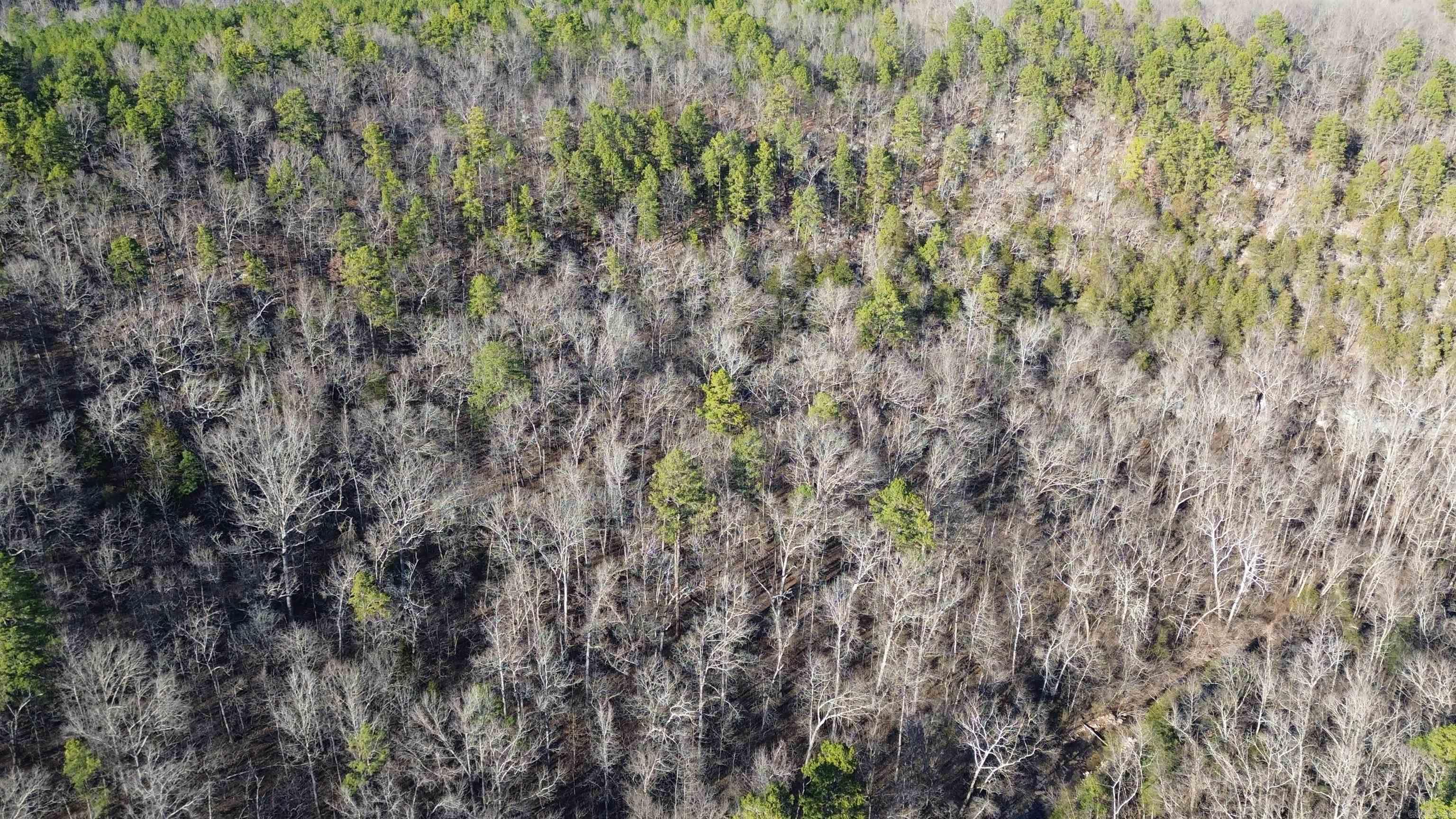 12404 Push Mountain Rd.  Calico Rock, AR