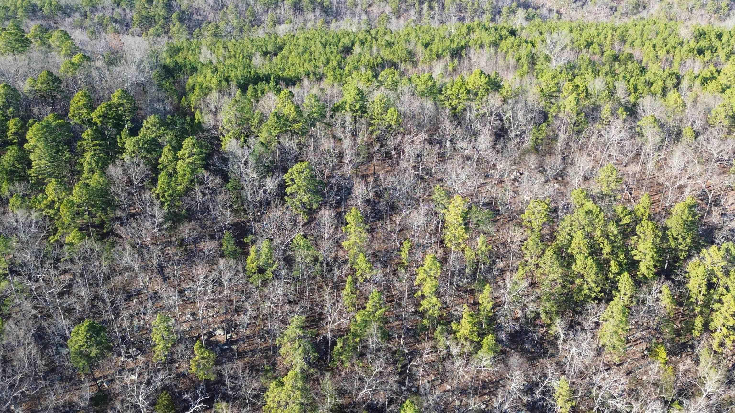 12404 Push Mountain Rd.  Calico Rock, AR