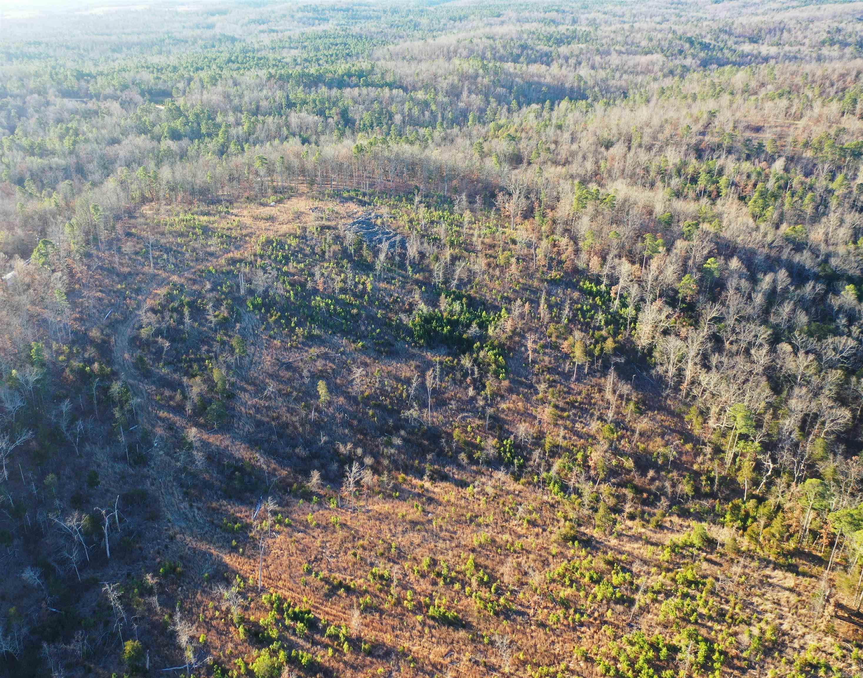 001-08537-000 McGenes Creek Road  Bexar, AR