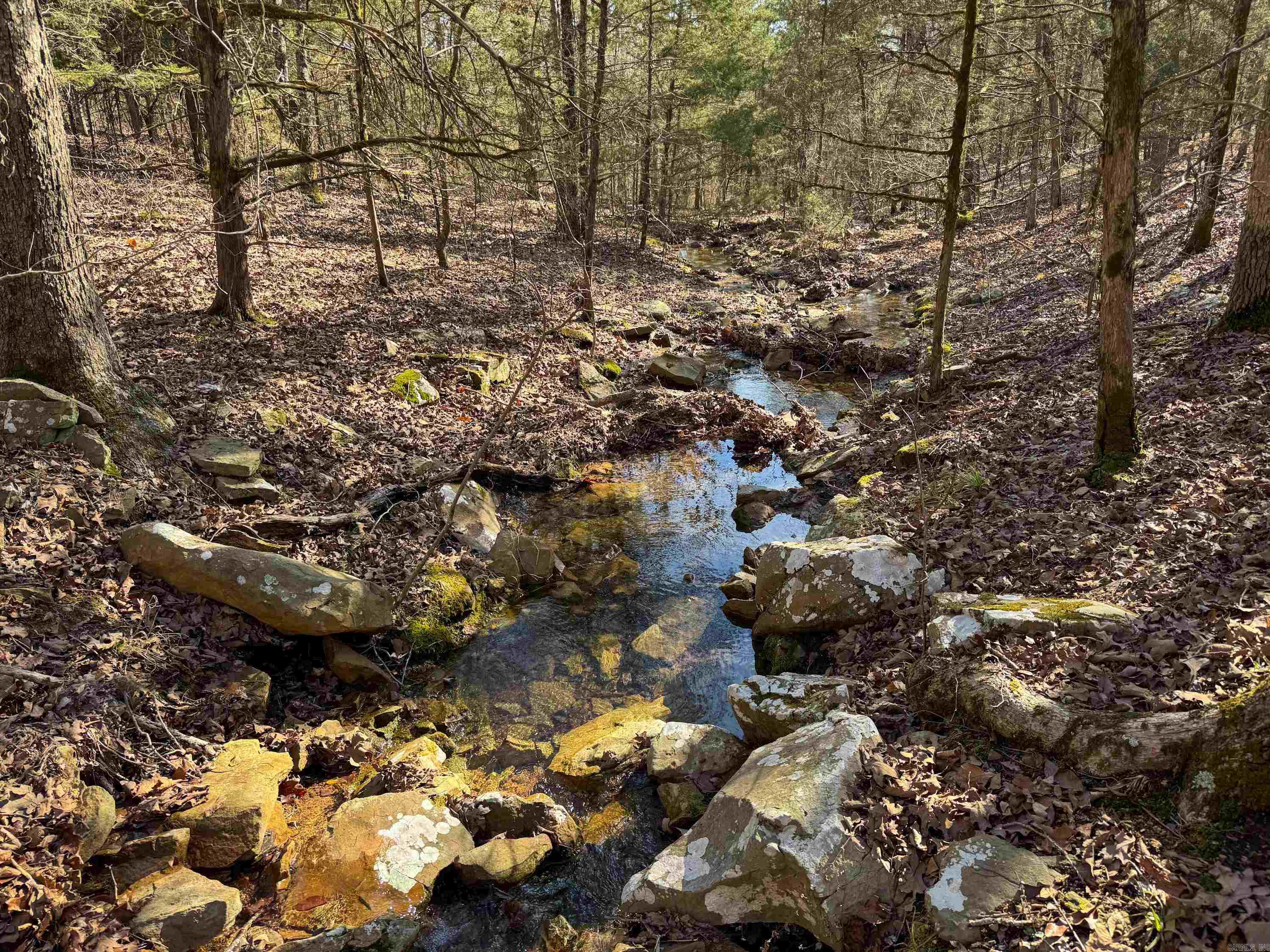 170 Enders  Quitman, AR