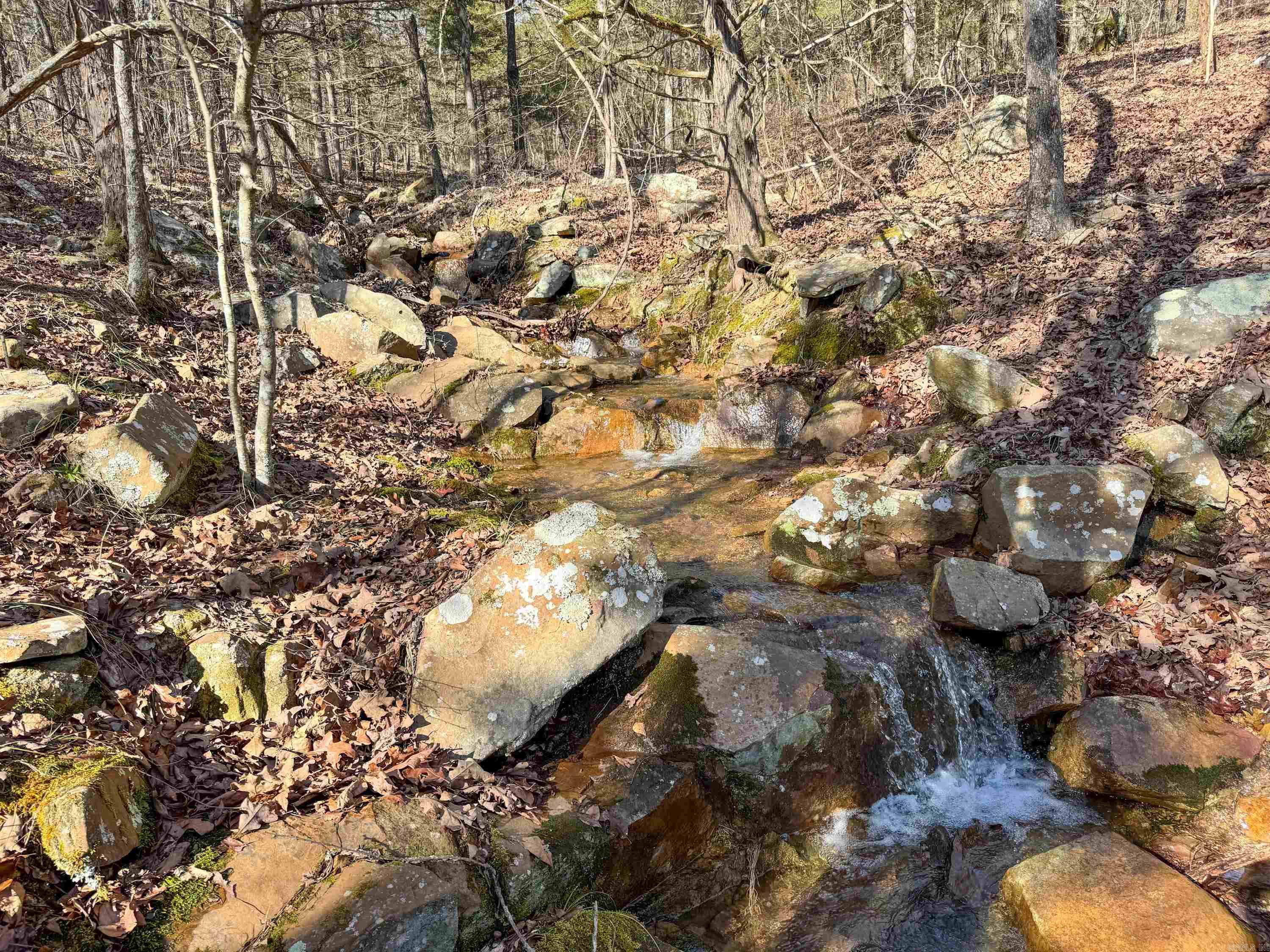 170 Enders  Quitman, AR