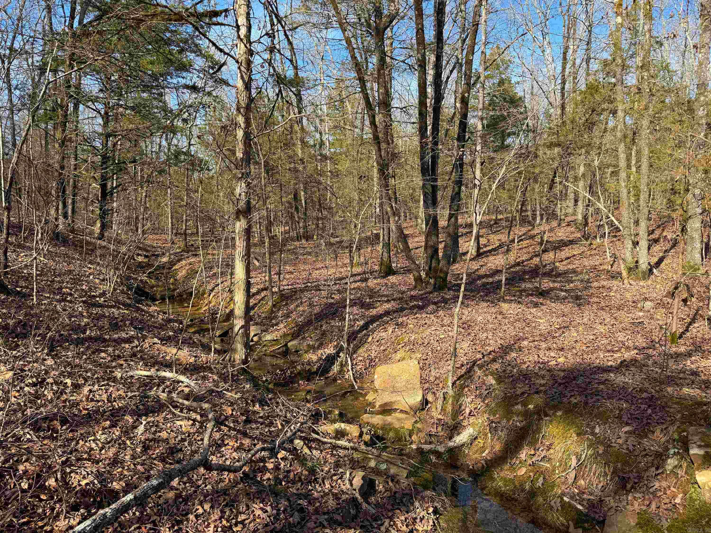 170 Enders  Quitman, AR