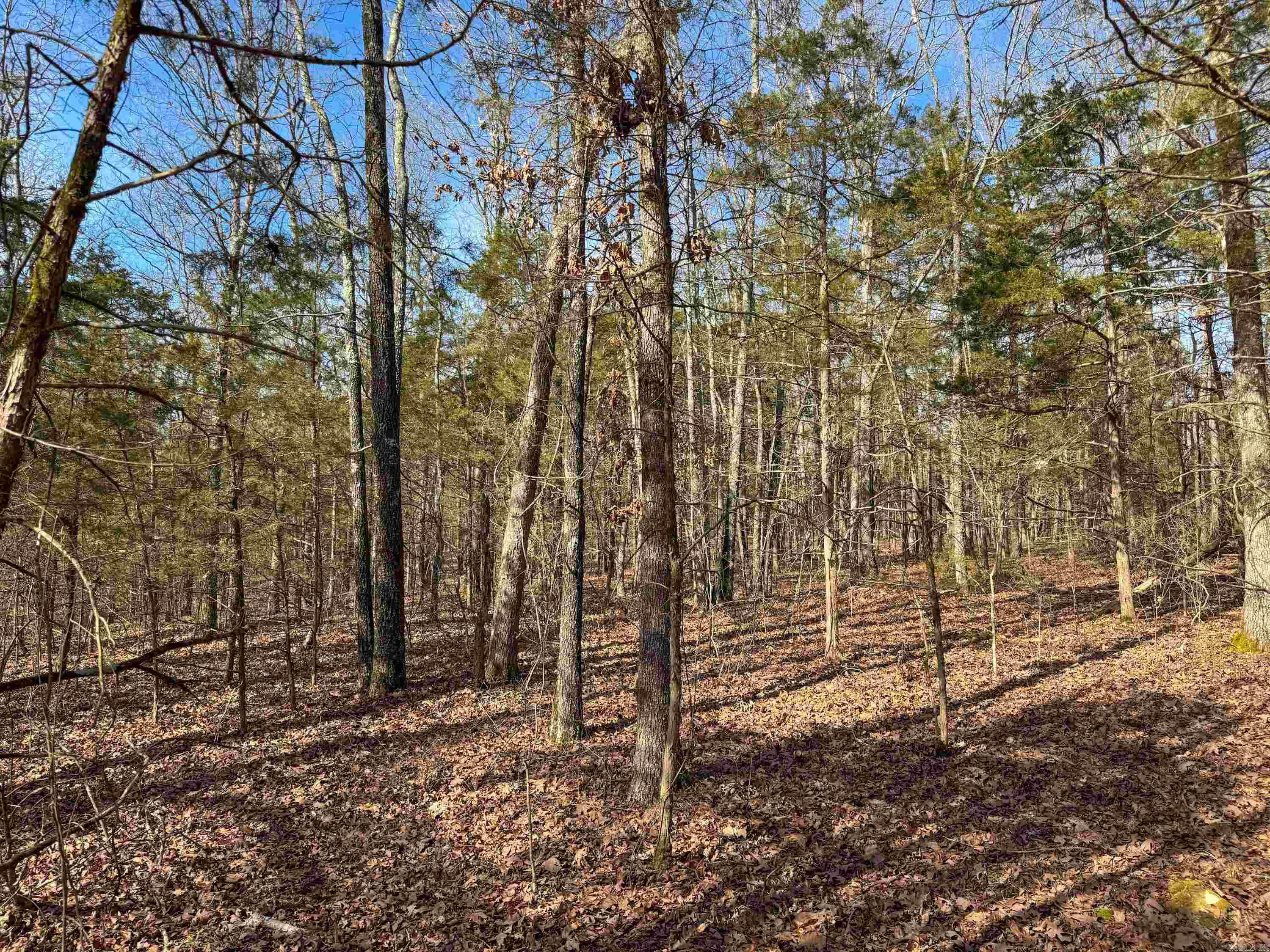 170 Enders  Quitman, AR