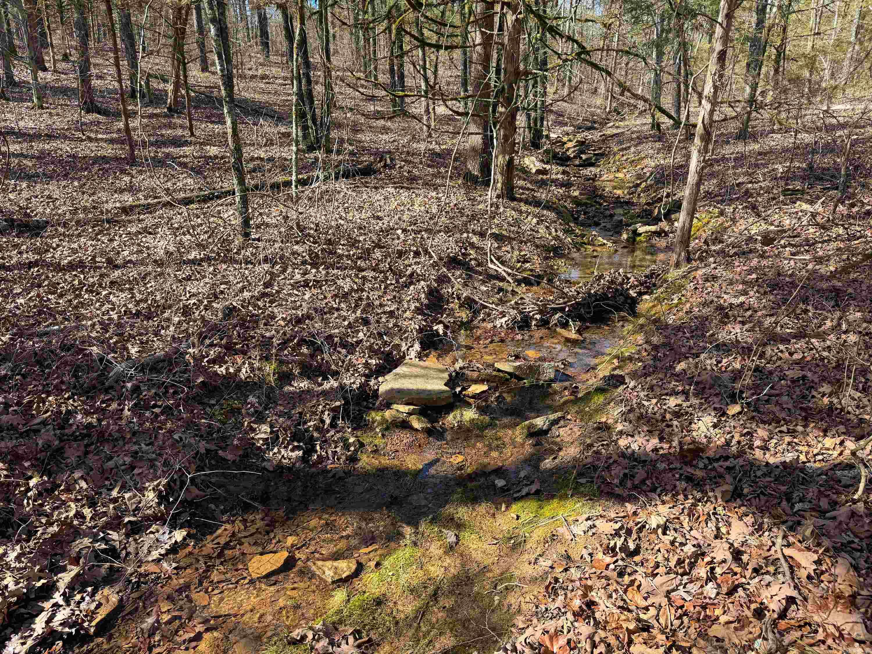 170 Enders  Quitman, AR