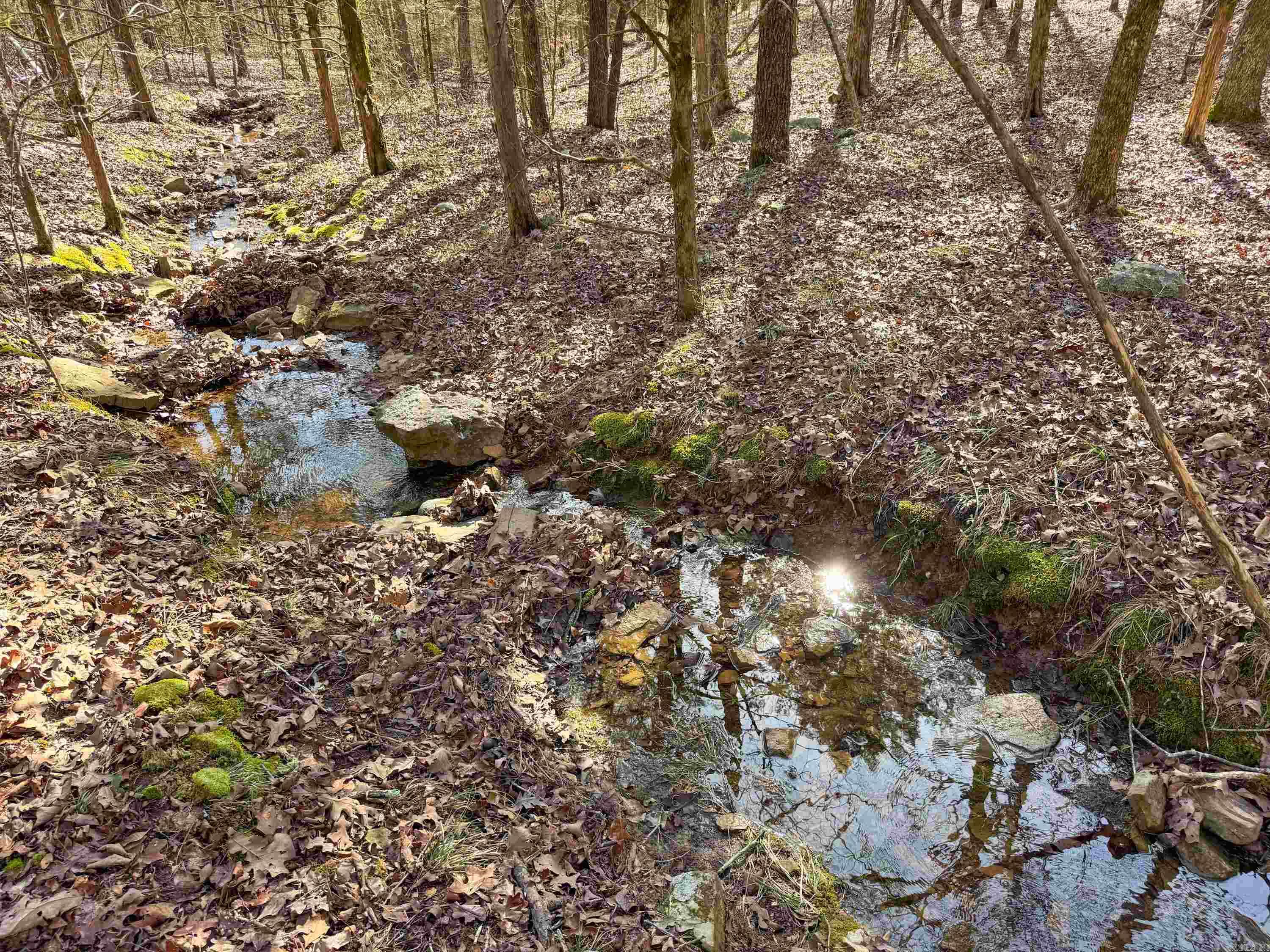 170 Enders  Quitman, AR