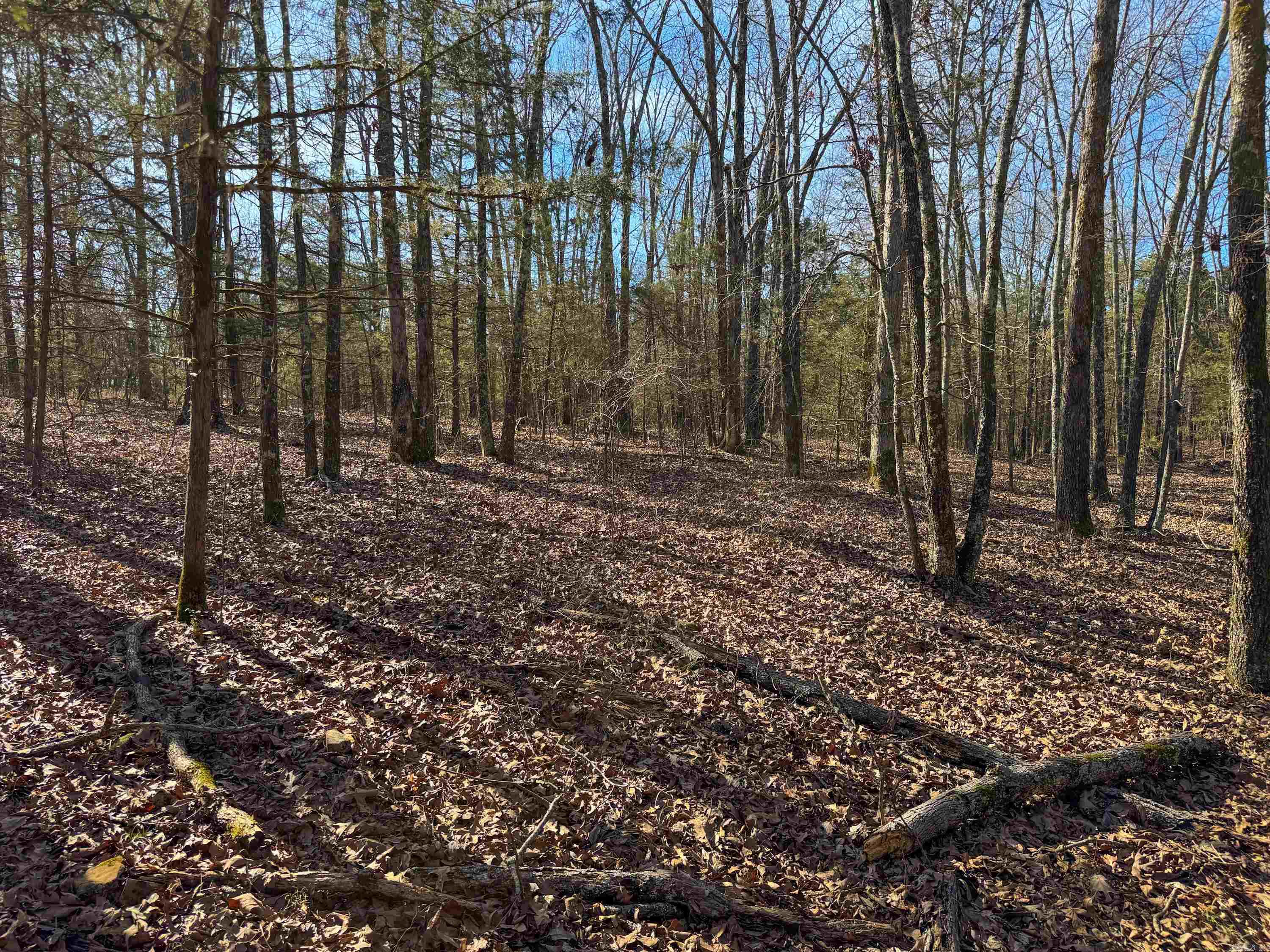 170 Enders  Quitman, AR