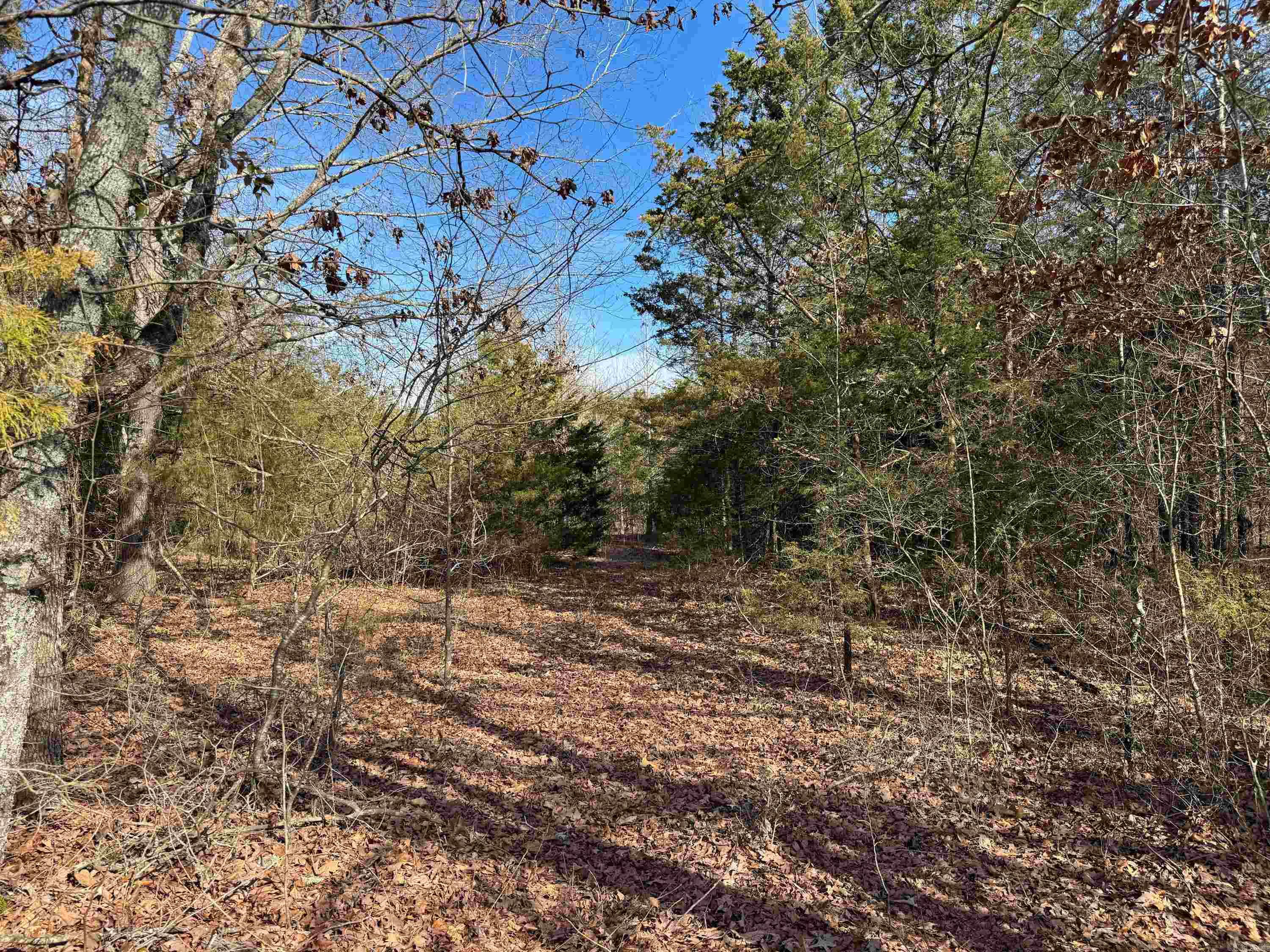 170 Enders  Quitman, AR