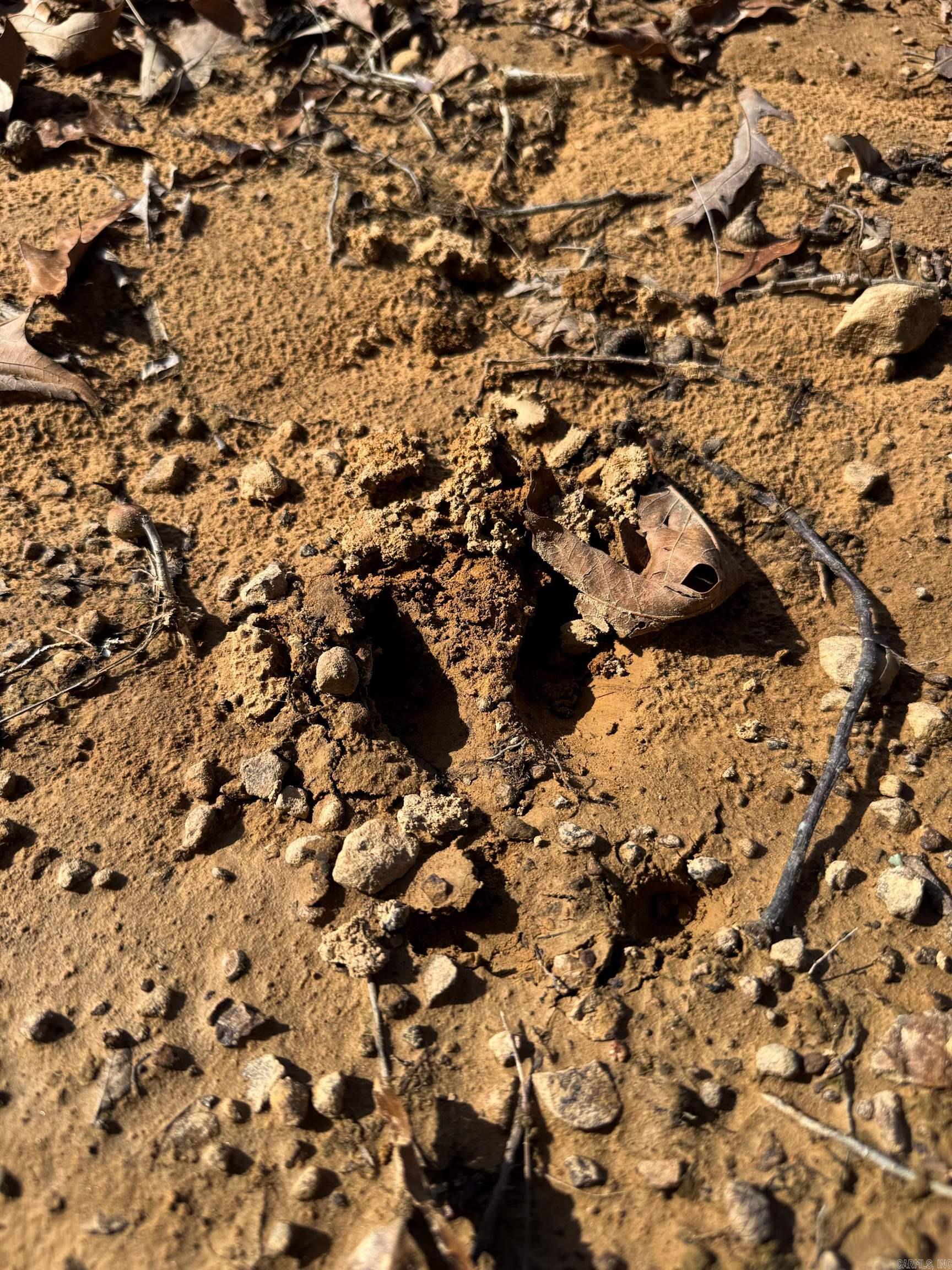 170 Enders  Quitman, AR