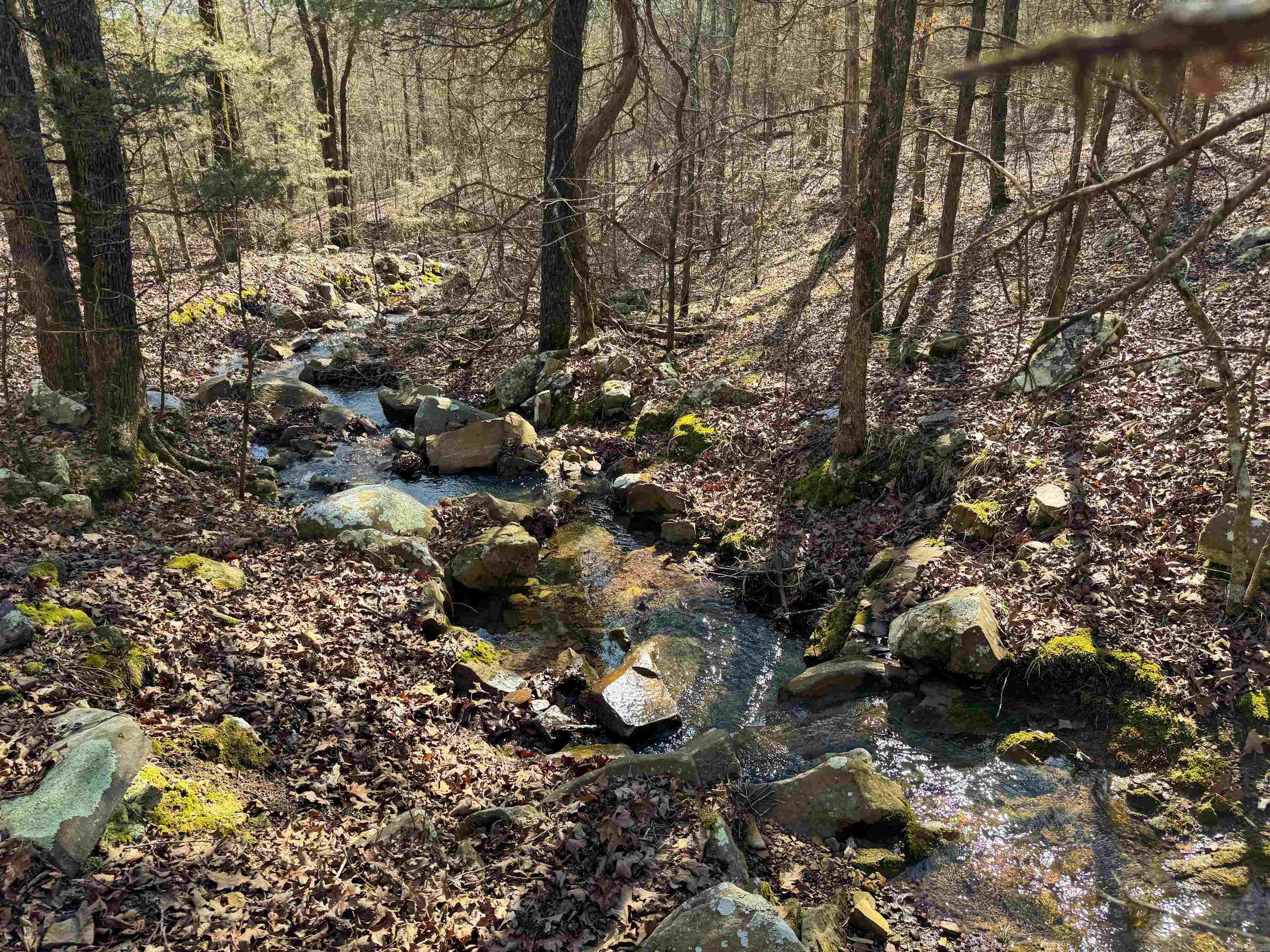 170 Enders  Quitman, AR