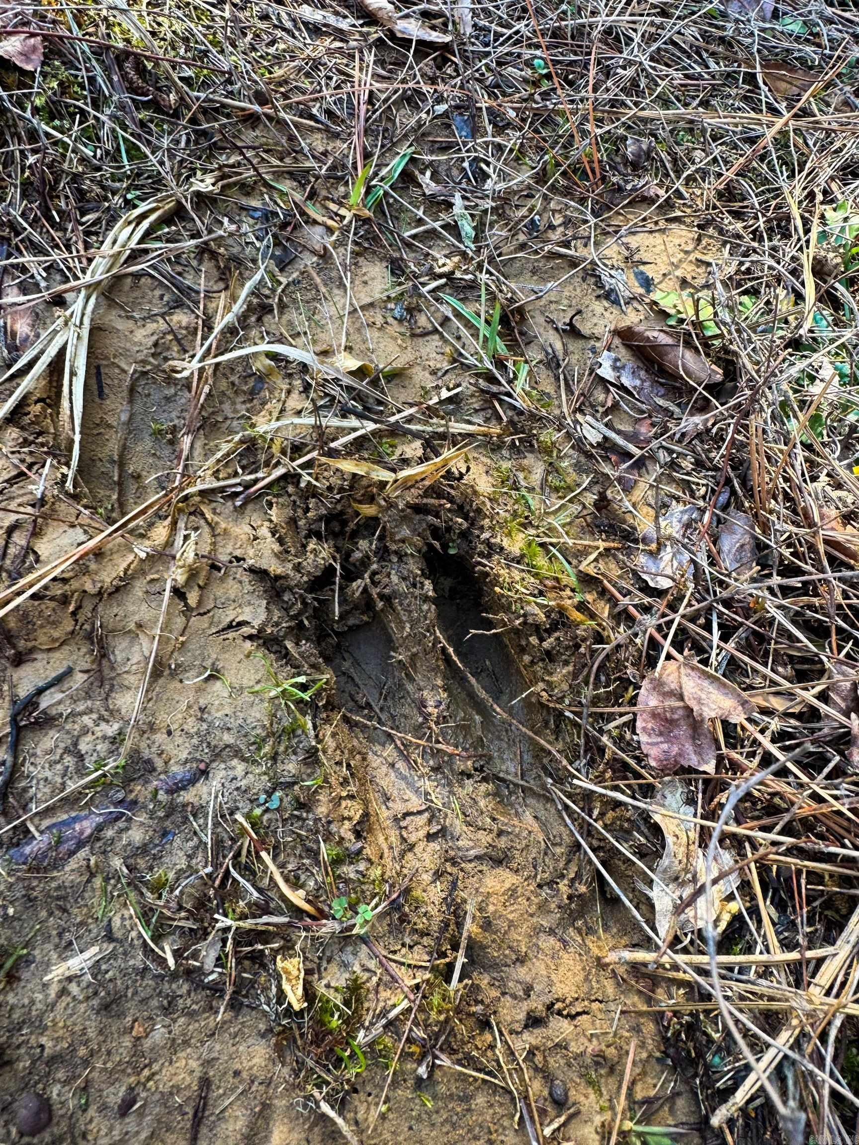 170 Enders  Quitman, AR