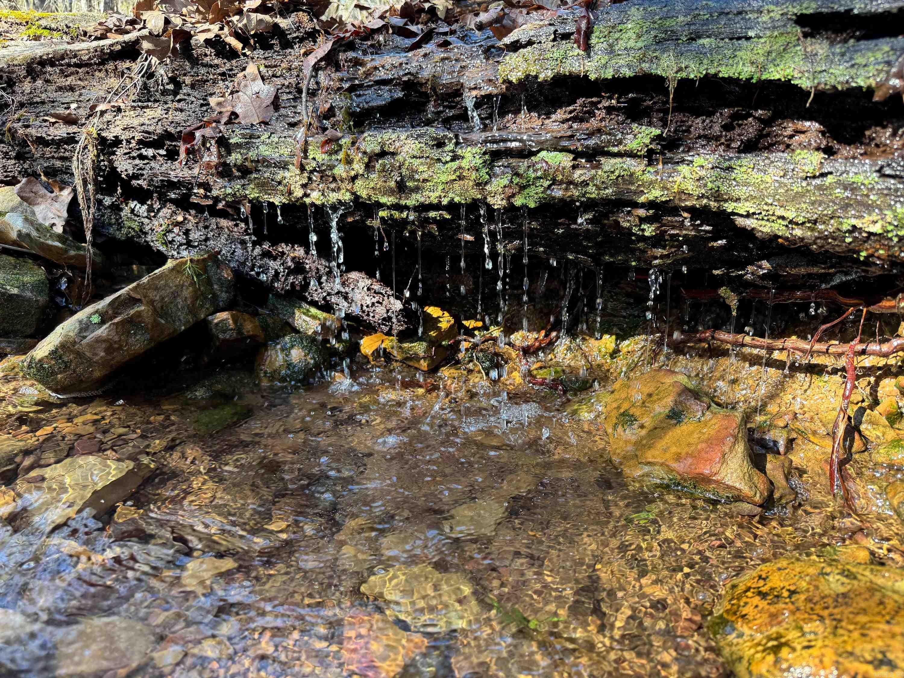 170 Enders  Quitman, AR