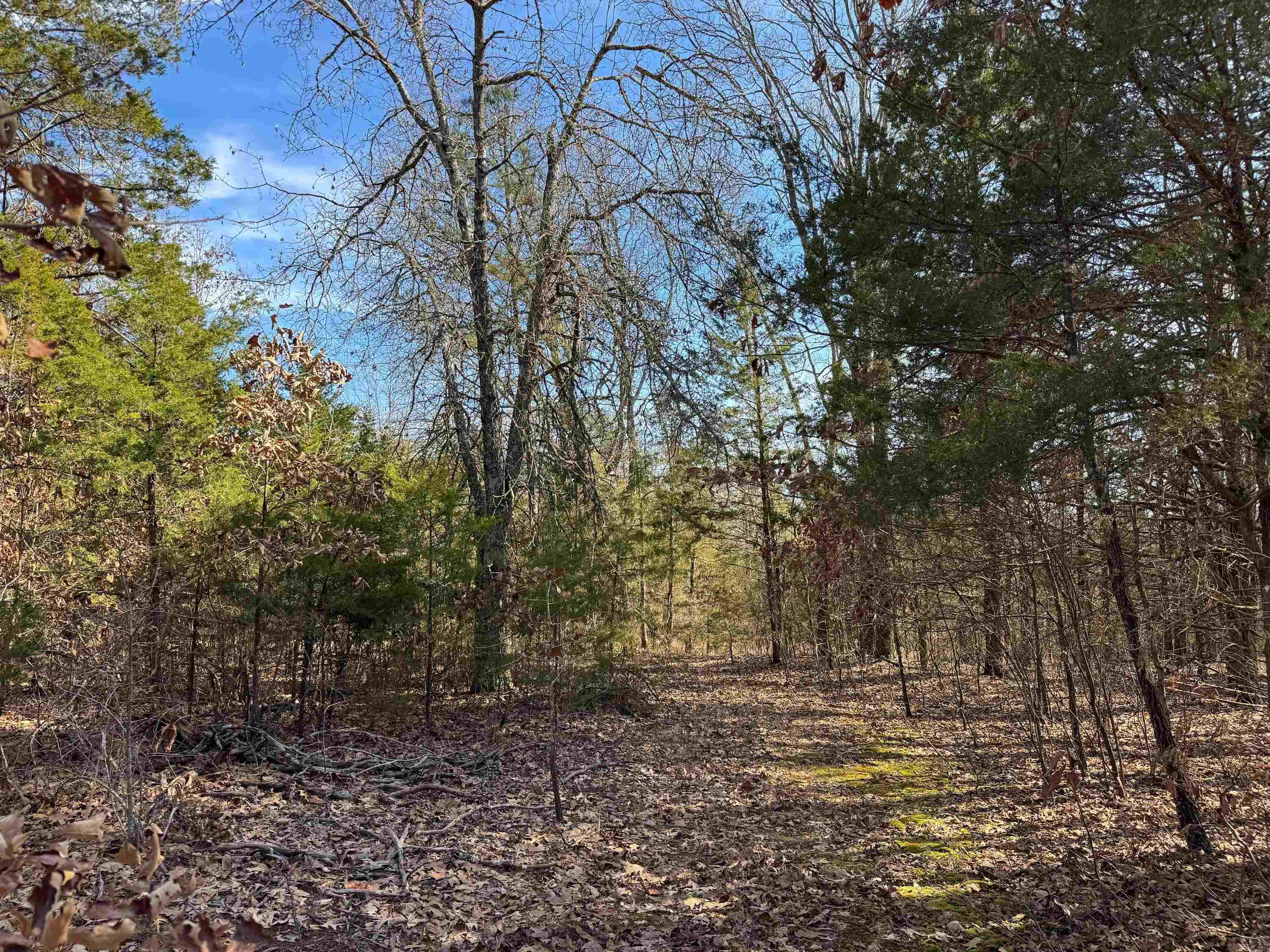 170 Enders  Quitman, AR