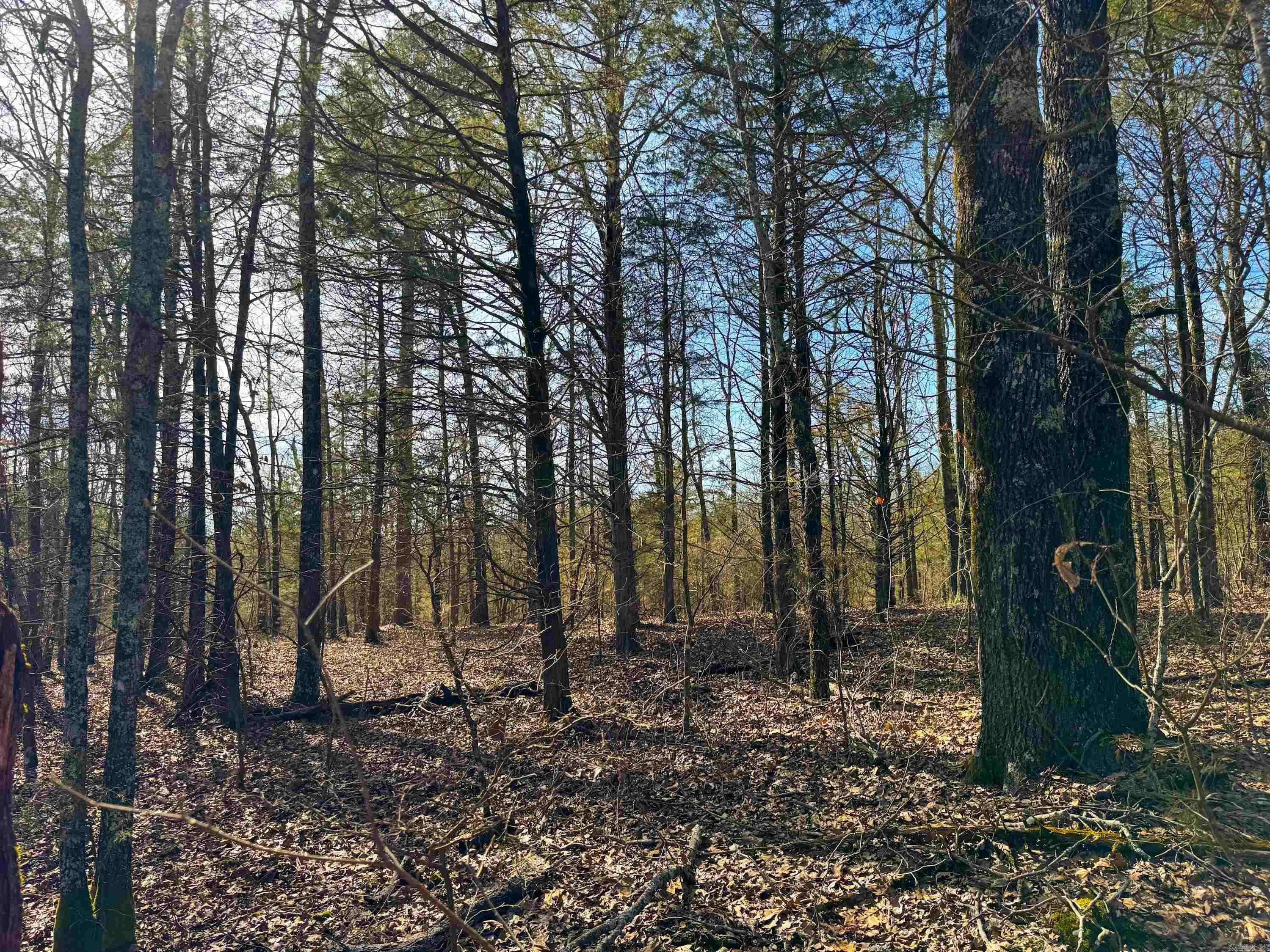 170 Enders  Quitman, AR